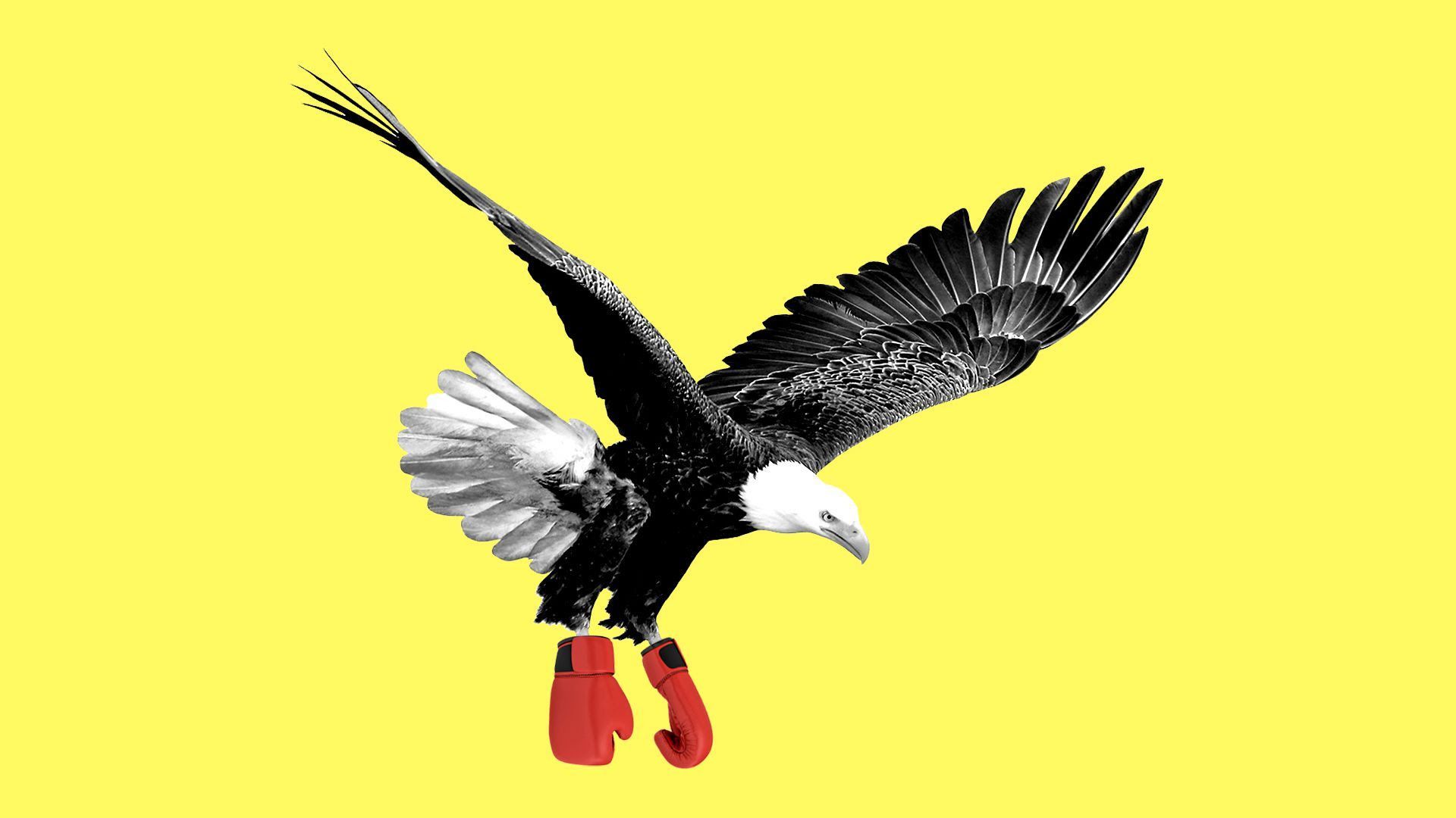 An illustration of an eagle with boxing gloves on