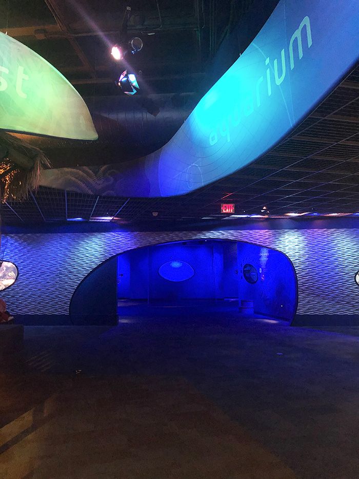 Discovery Place Science sleepover aquarium