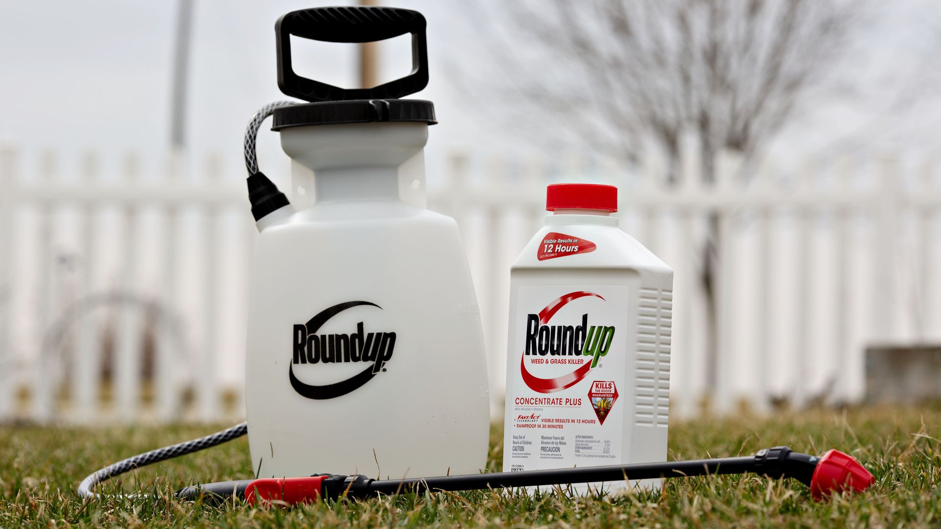 White Roundup weed killer sprayer and a white bottle of Roundup concentrate plus with red caps, placed on green grass near a white fence and bare tree in background.