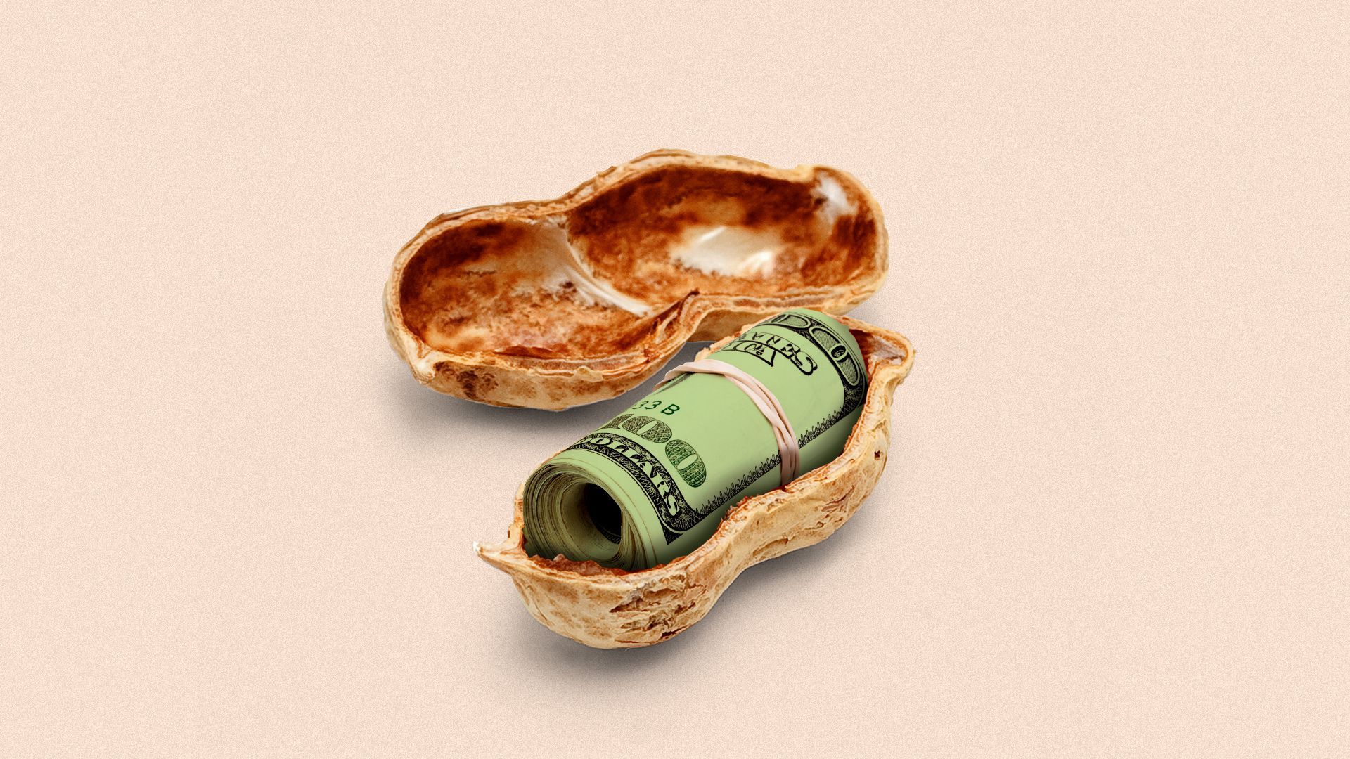 Illustration of an opened peanut with a roll of money inside. 