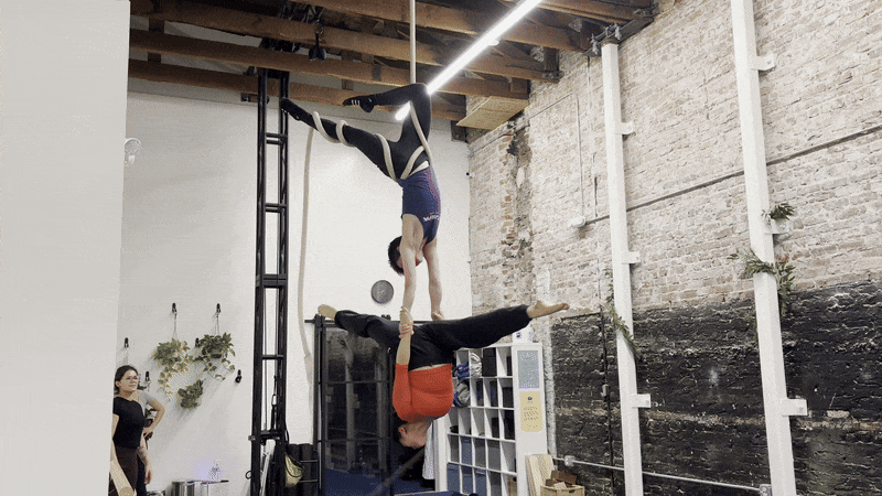 Aerialists perform at The Hive.