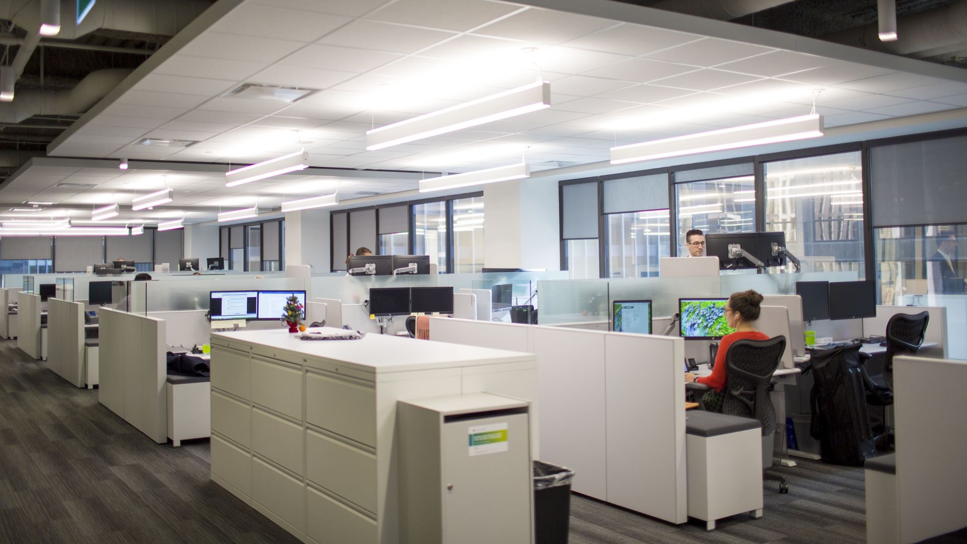 People work in cubicles in an office building. 