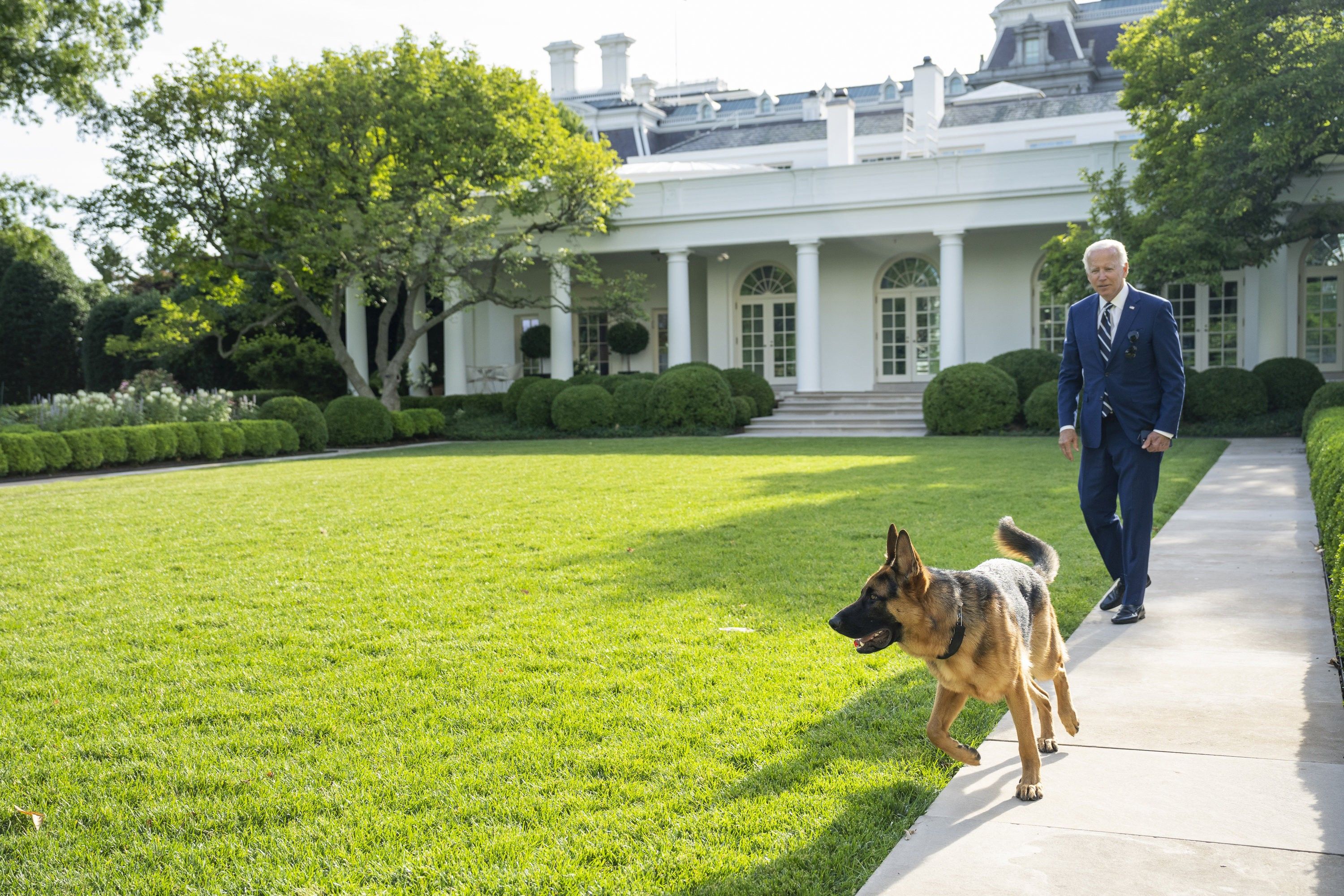 President Biden with his dog Commander in 2022 at the White House Rose Garden. 