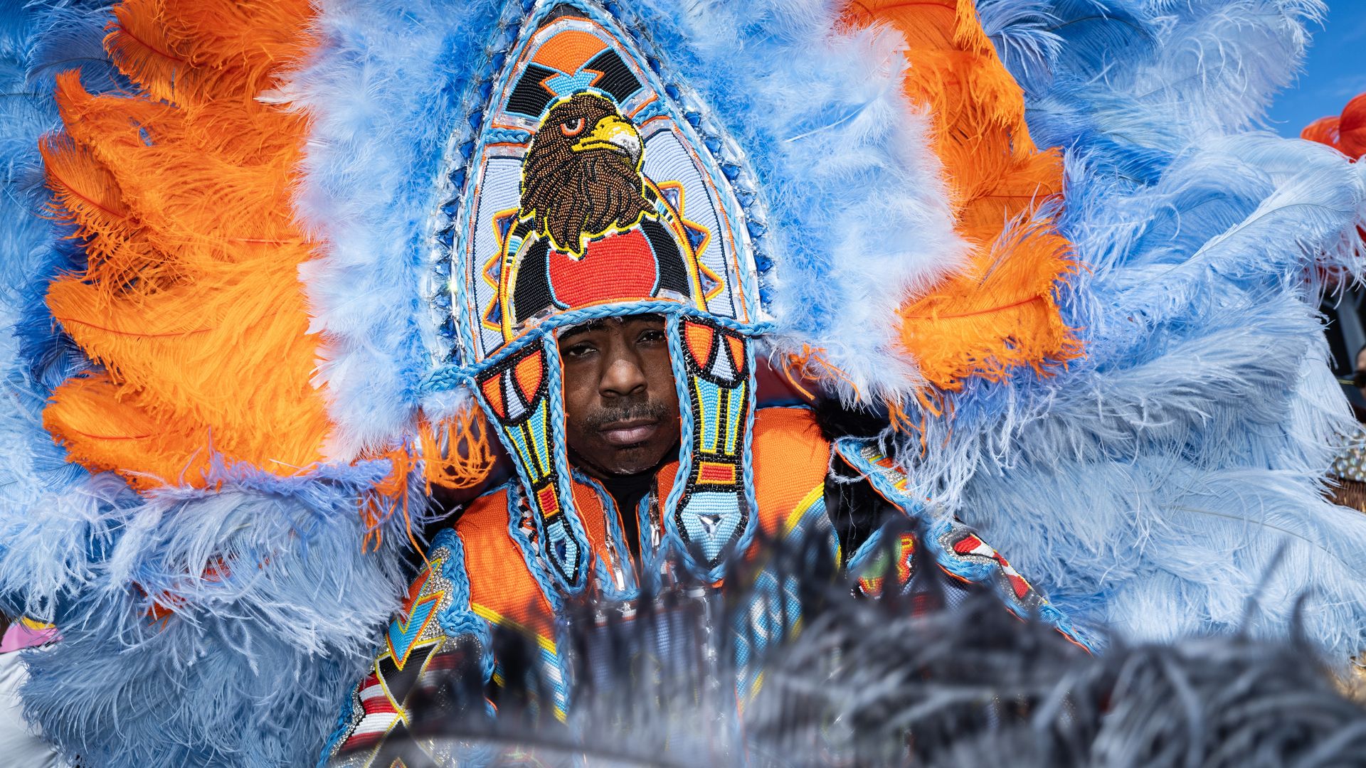 Photo shows a Mardi Gras Indian in a colorful feathered suit