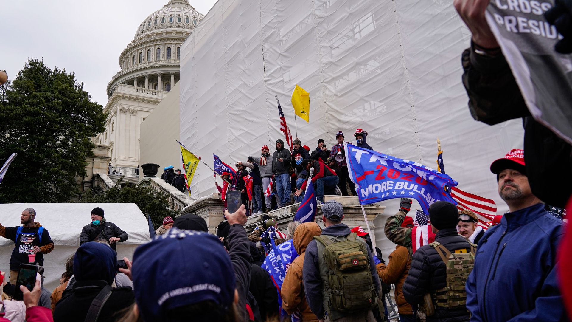 Photo of a crowd of people at the foot of the Capitol building with pro-Trump signs