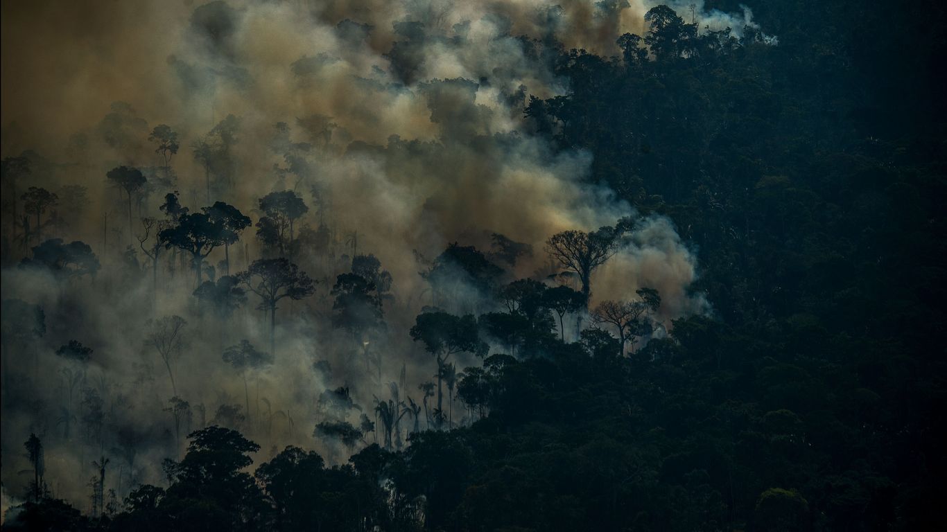 Incêndios em agosto na floresta amazônica brasileira atingem novo recorde de 12 anos