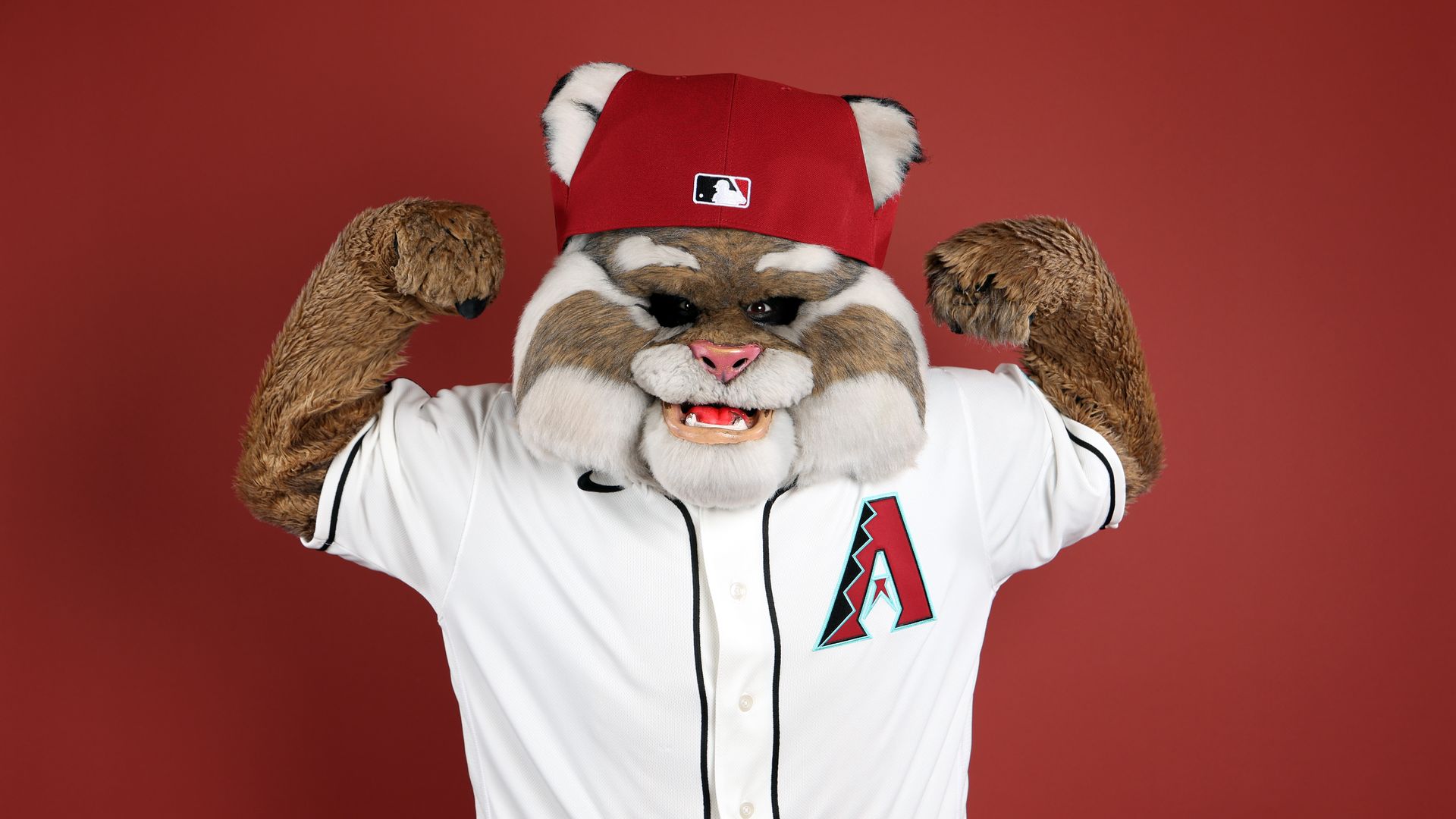 An anthropomorphic bobcat mascot wearing a white baseball jersey with black piping and a red cap, raising its furry arms against a solid red background.