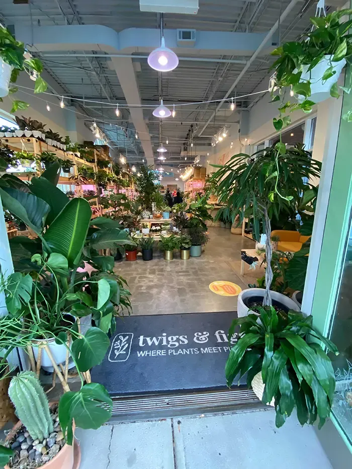 twigs and figs plant shop