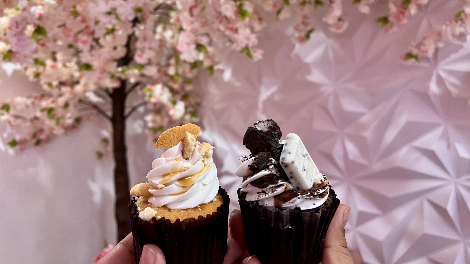 Photo of two cupcakes. 