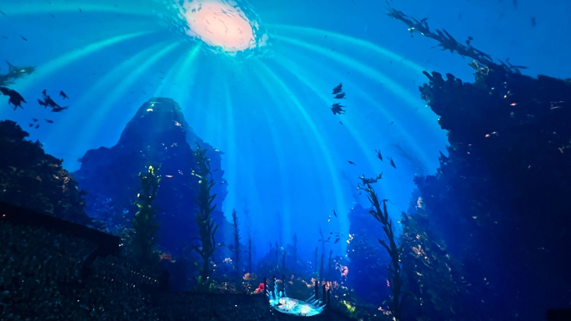 A photo of Phish playing the Sphere, with a giant LED screen made to look like an underwater scene.