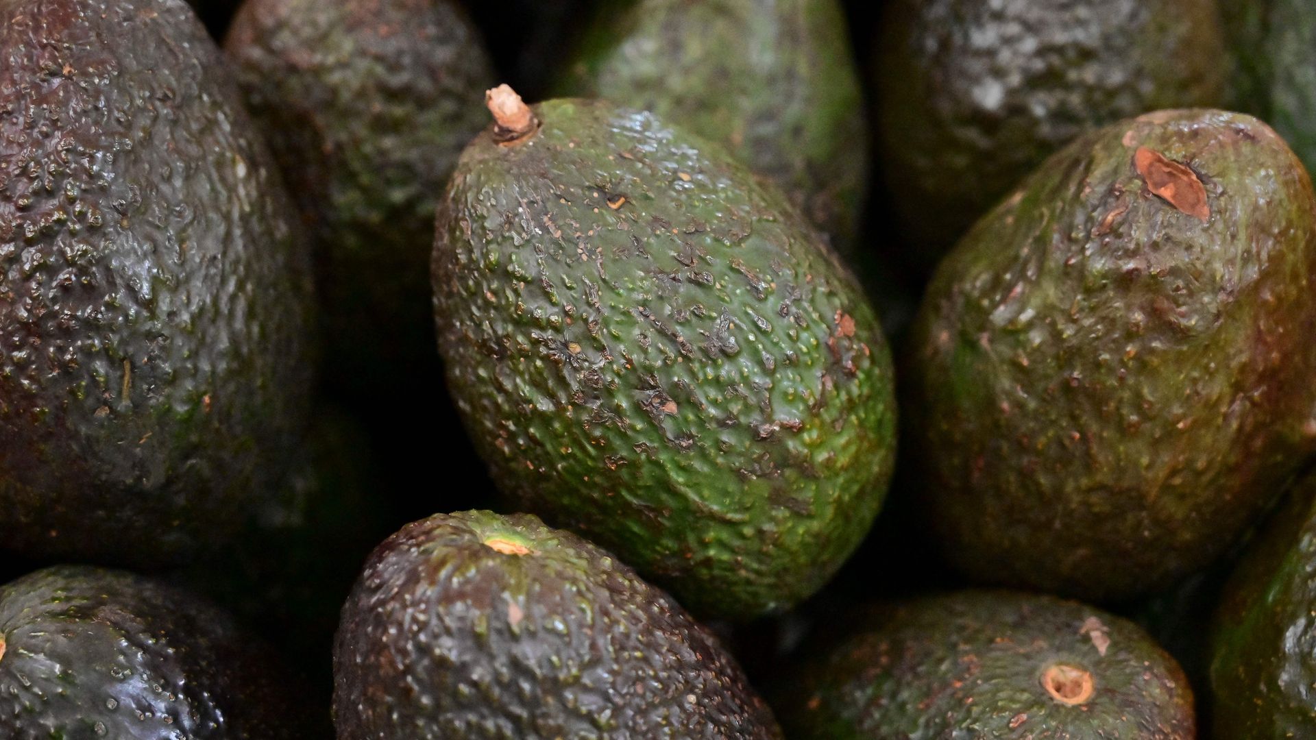  Avocados for sale at a market in Mexico City on Feb. 15.