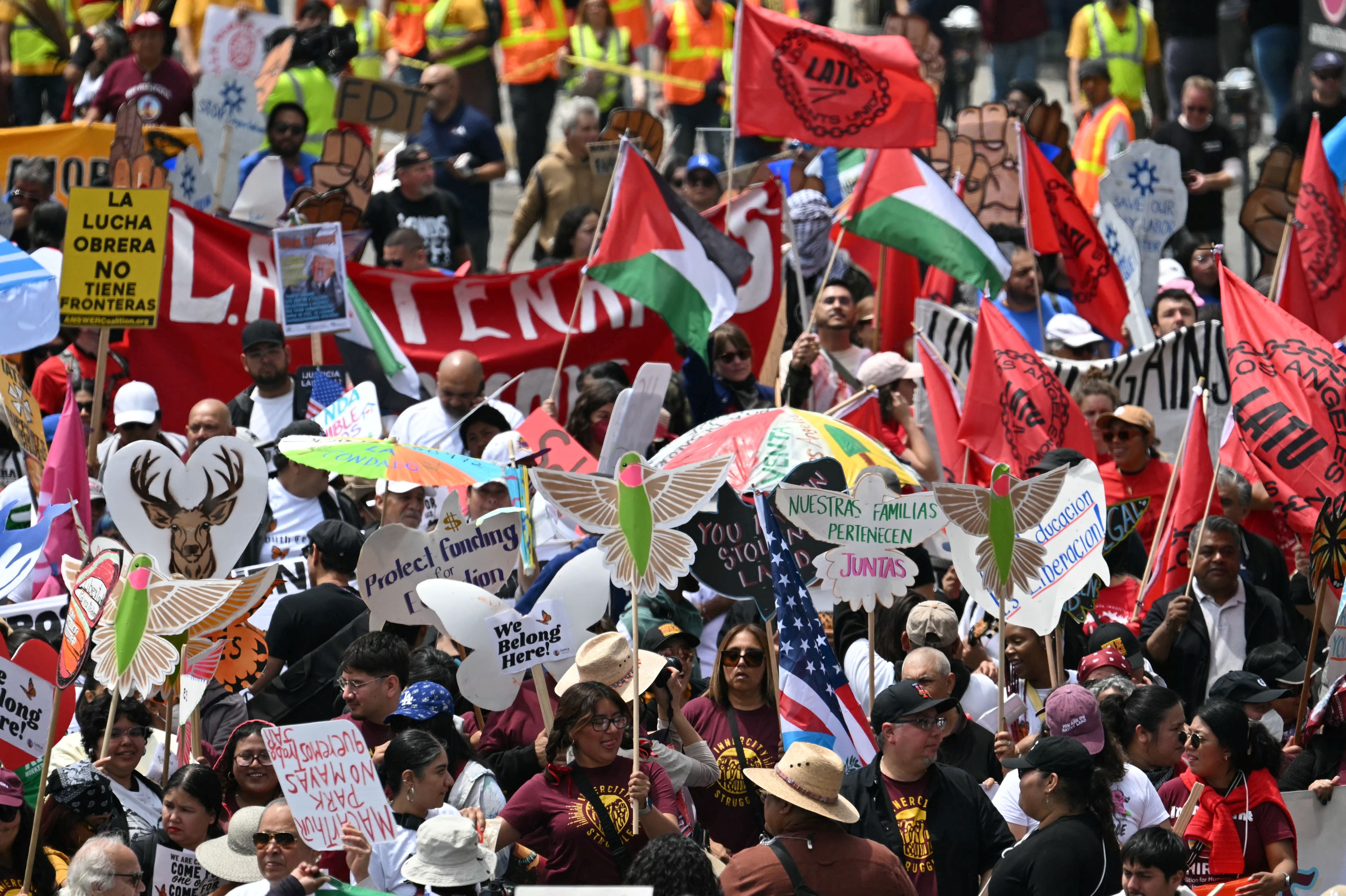 Several flags and posters are held in the air including birds and Palestinian flags 