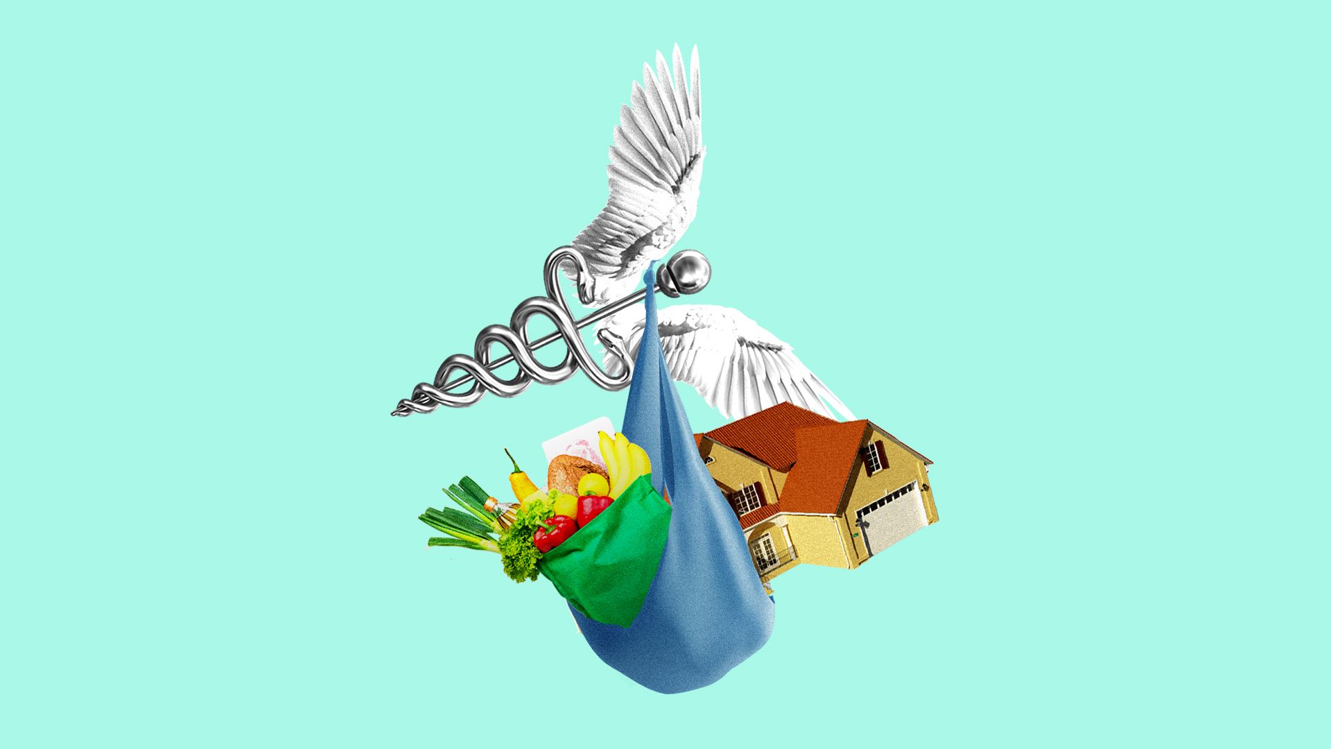 Illustration of flying caduceus carrying sack of groceries and a house