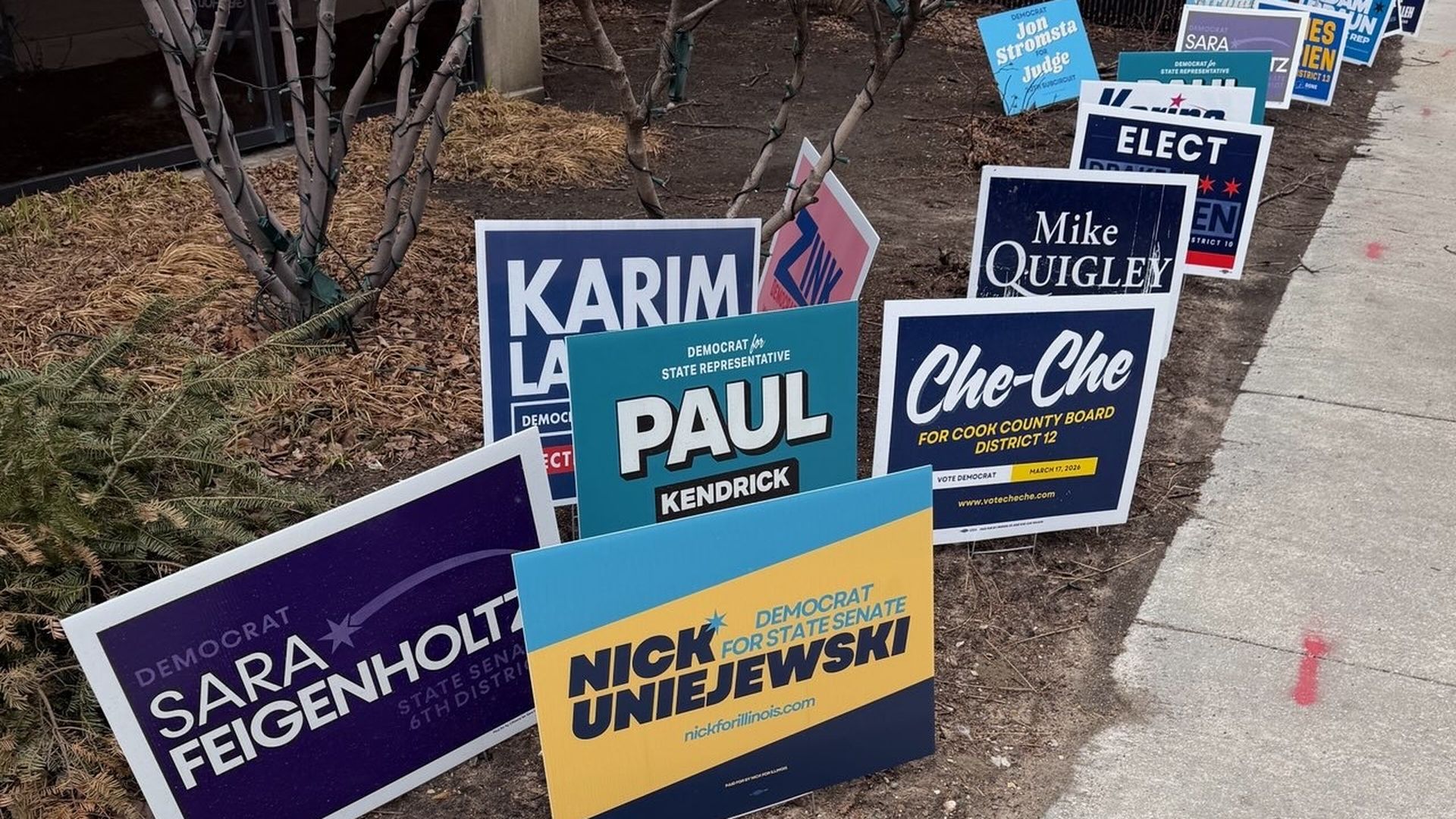 A row of campaign signs along a sidewalk, in blue, teal, purple, and yellow, for Paul Kendrick, Sara Feigenholt, Nick Uniejewski, Mike Quigley, and Che-Che for Cook County Board.