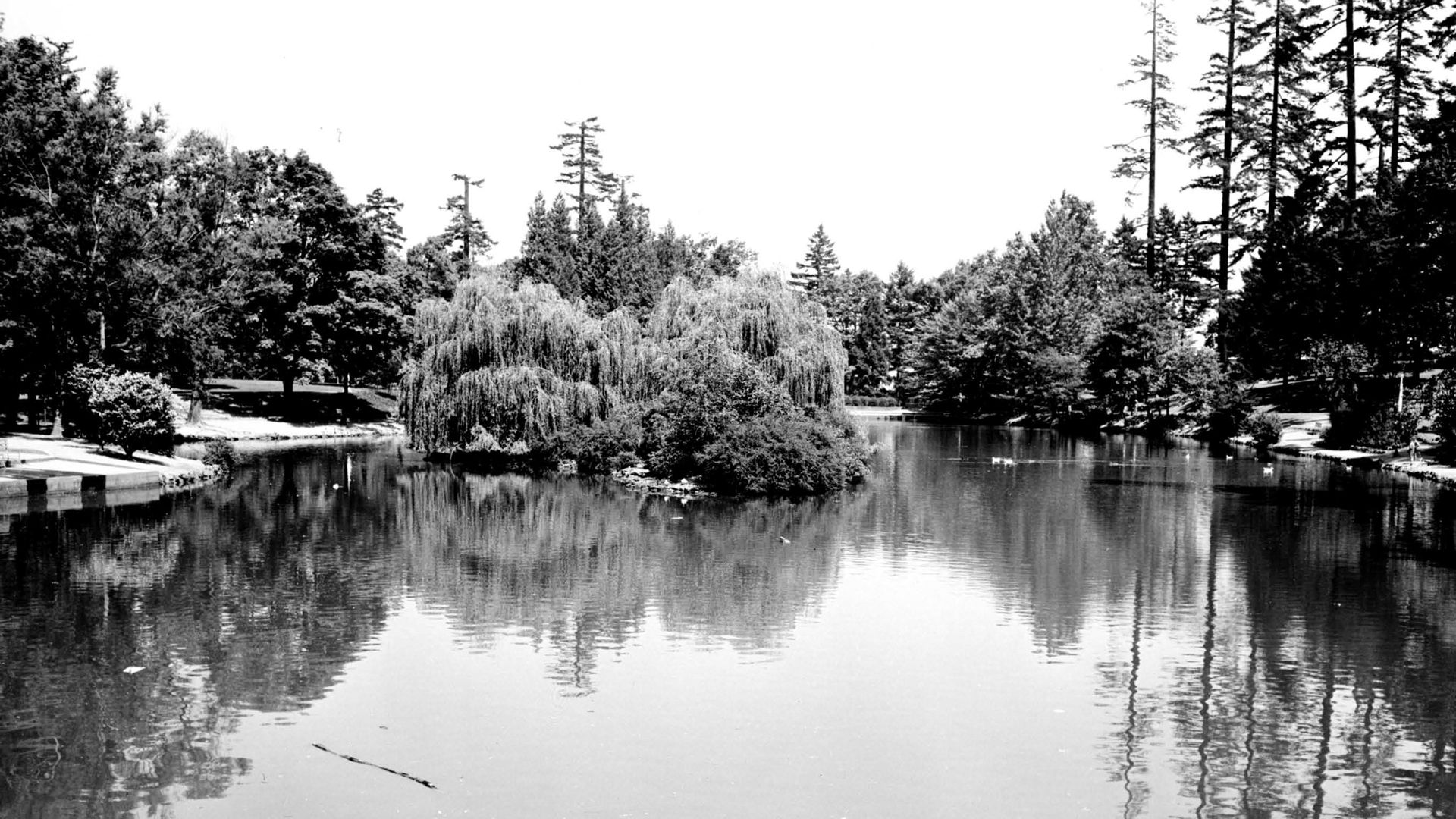 Black and white photo of a serene pond surrounded by tall trees in Laurelhurst Park, Portland. Reflections of trees ripple on the water's surface, and a small island with lush foliage sits in the center.
