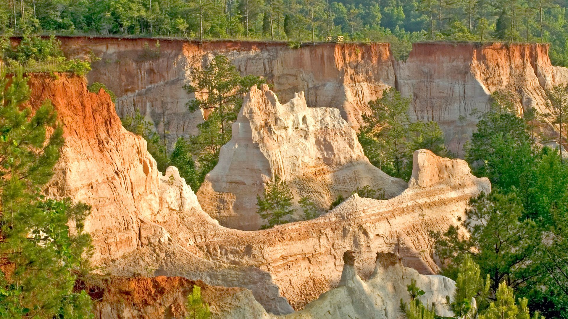 Sunlit sandstone formations with reddish and creamy hues surrounded by green pine trees under a clear sky in a forested canyon landscape.