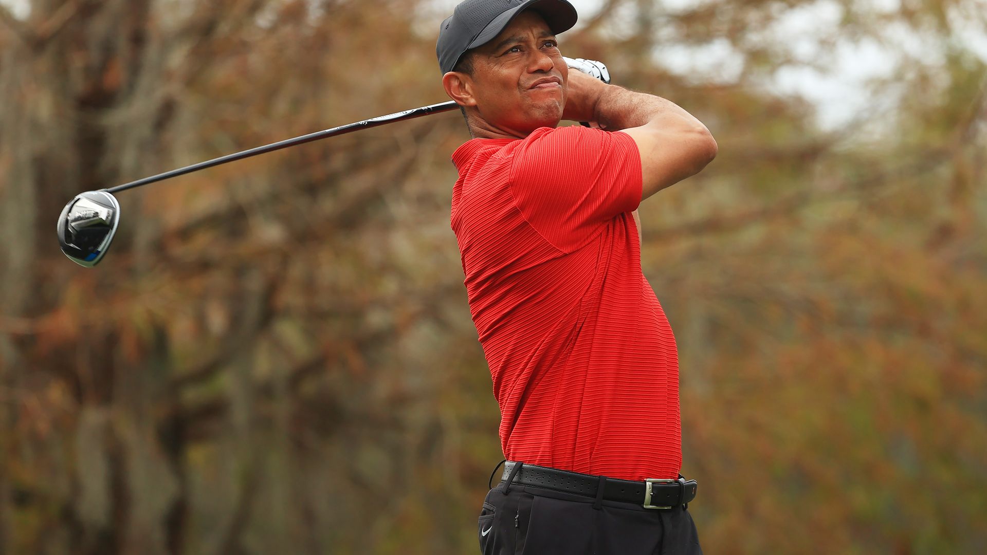 Tiger Woods swinging a golf bat