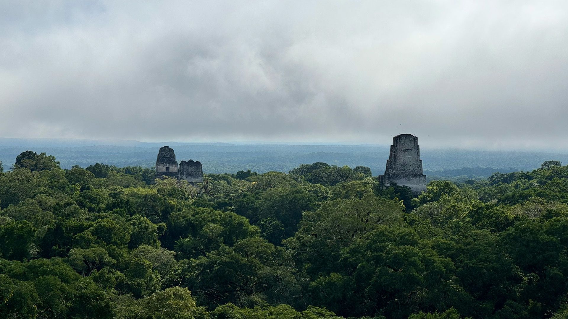 Stone ruins of ancient pyramids rising above dense green rainforest under a cloudy sky, with distant hills barely visible through mist.