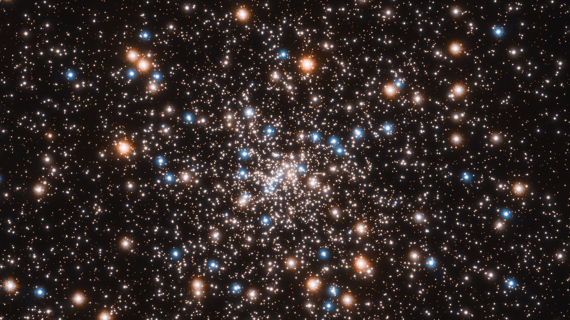 A star cluster shines, with blue, orange and white stars clustered around a central grouping of stars