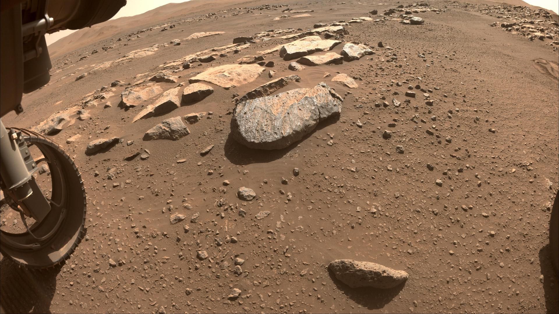 Perseverance's next target rock (center).