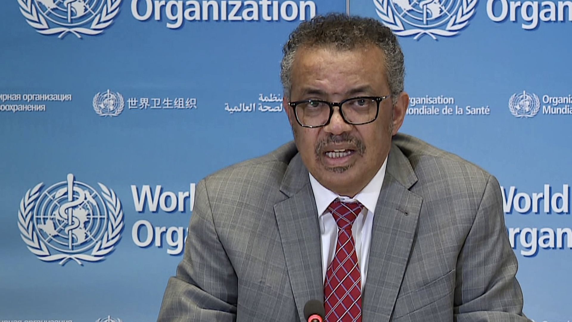 In this image, WHO Chief Tedros Adhanom Ghebreyesus sits