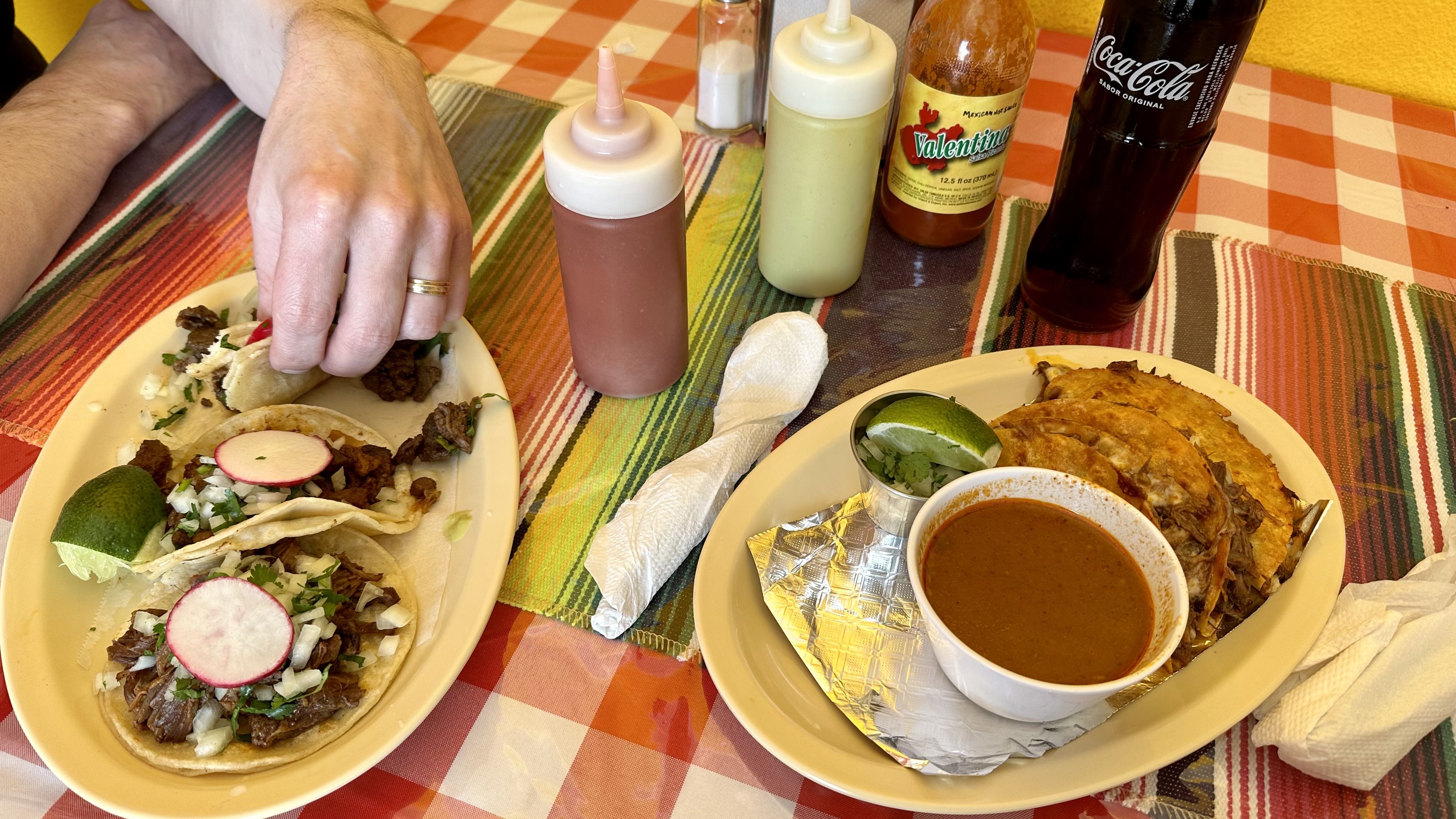 Photo shows Mexican-style tacos and birria.