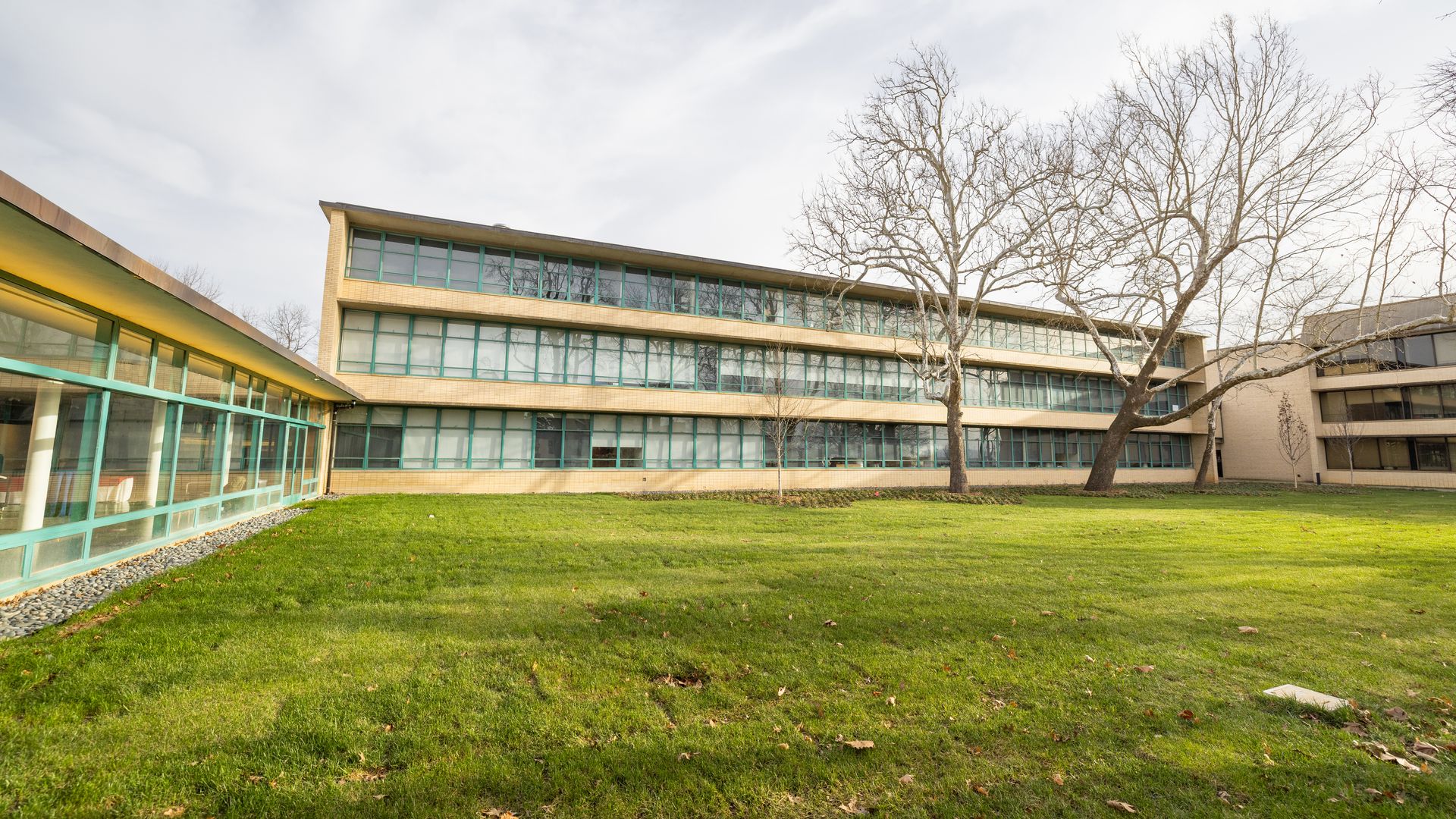 A modern three-story building with long rows of windows overlooks a grassy courtyard with a large leafless tree.