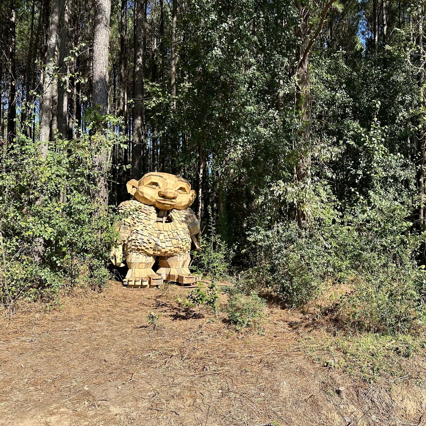 Thomas Dambo's troll statues are now open in Dix Park - Axios Raleigh