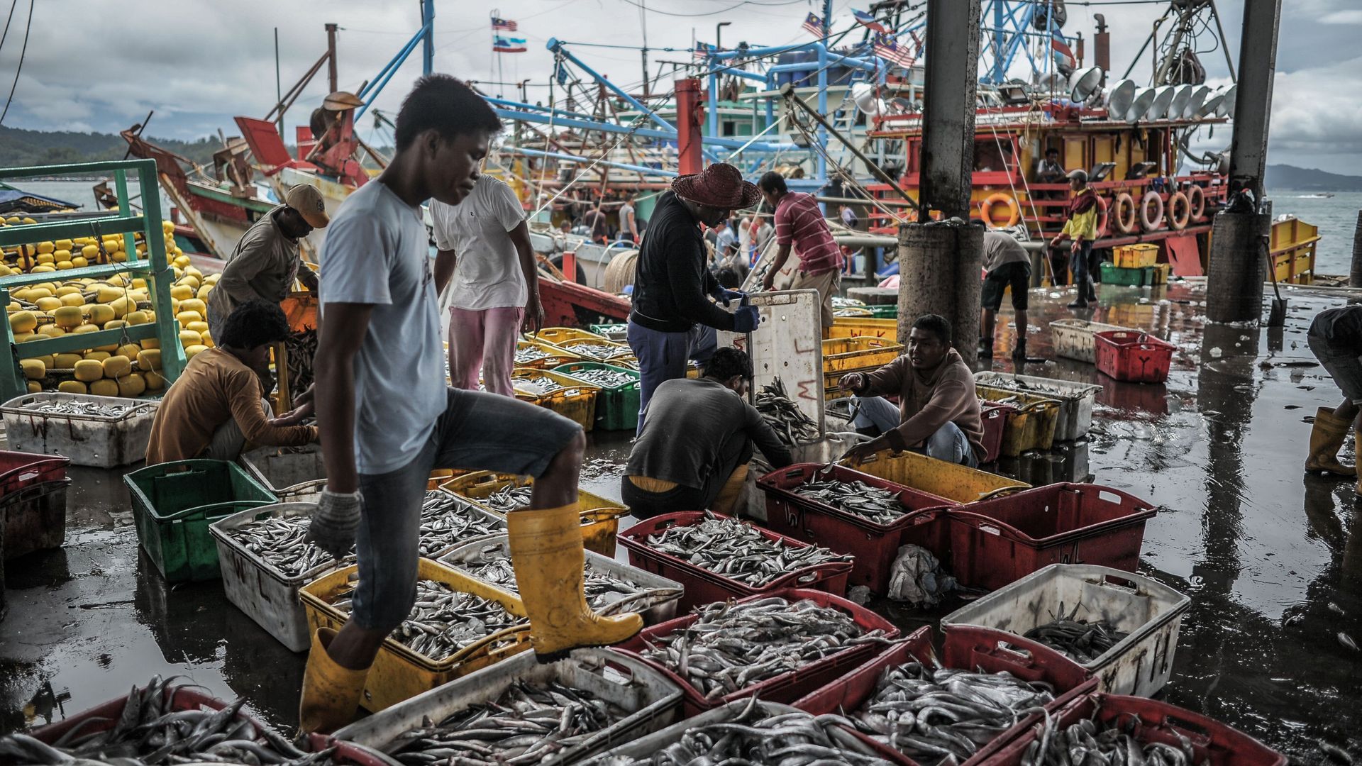 Fisherman stands with his boot on a crate of fresh fish