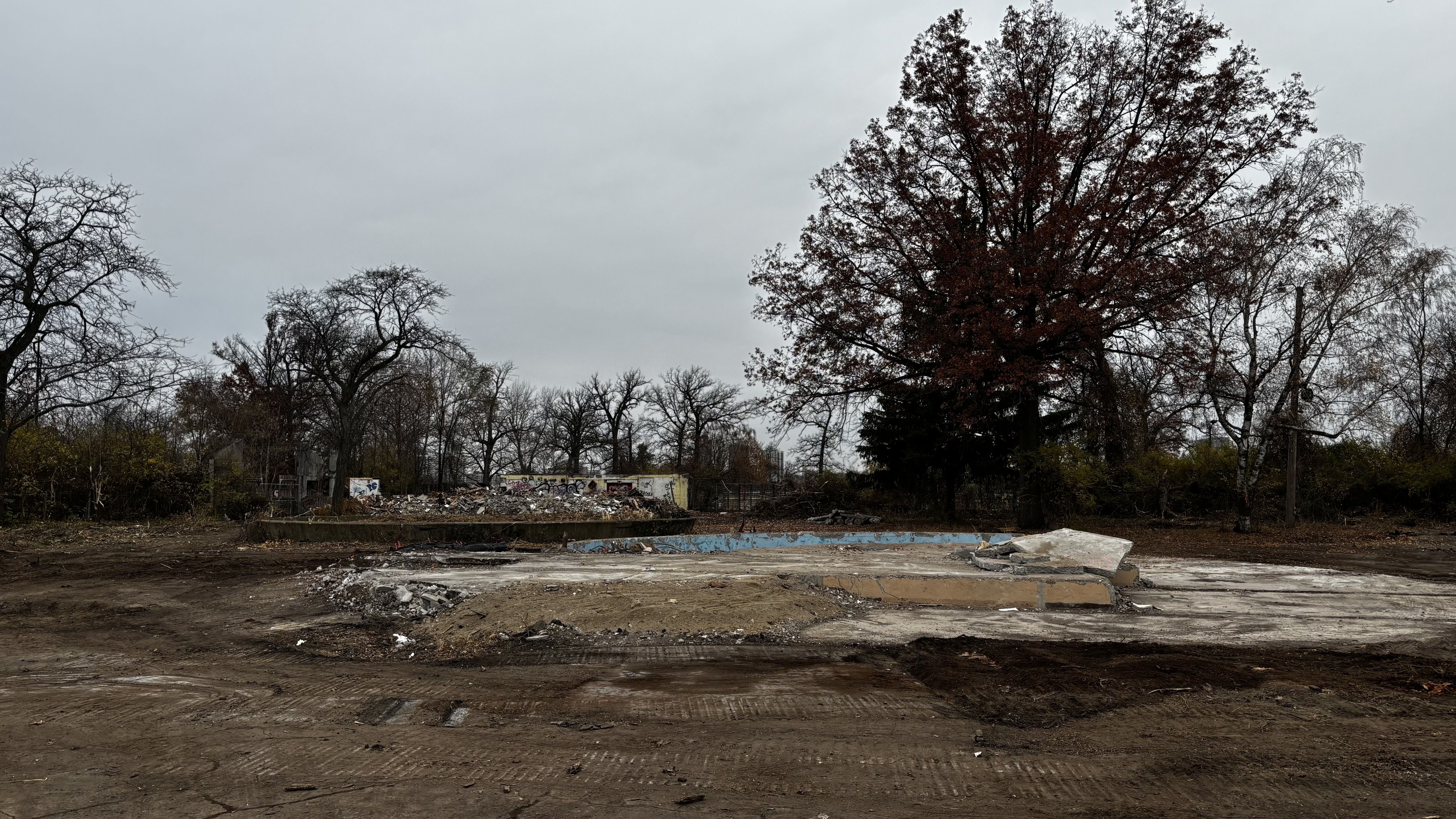 A cleared-out area at the Belle Isle zoo site.