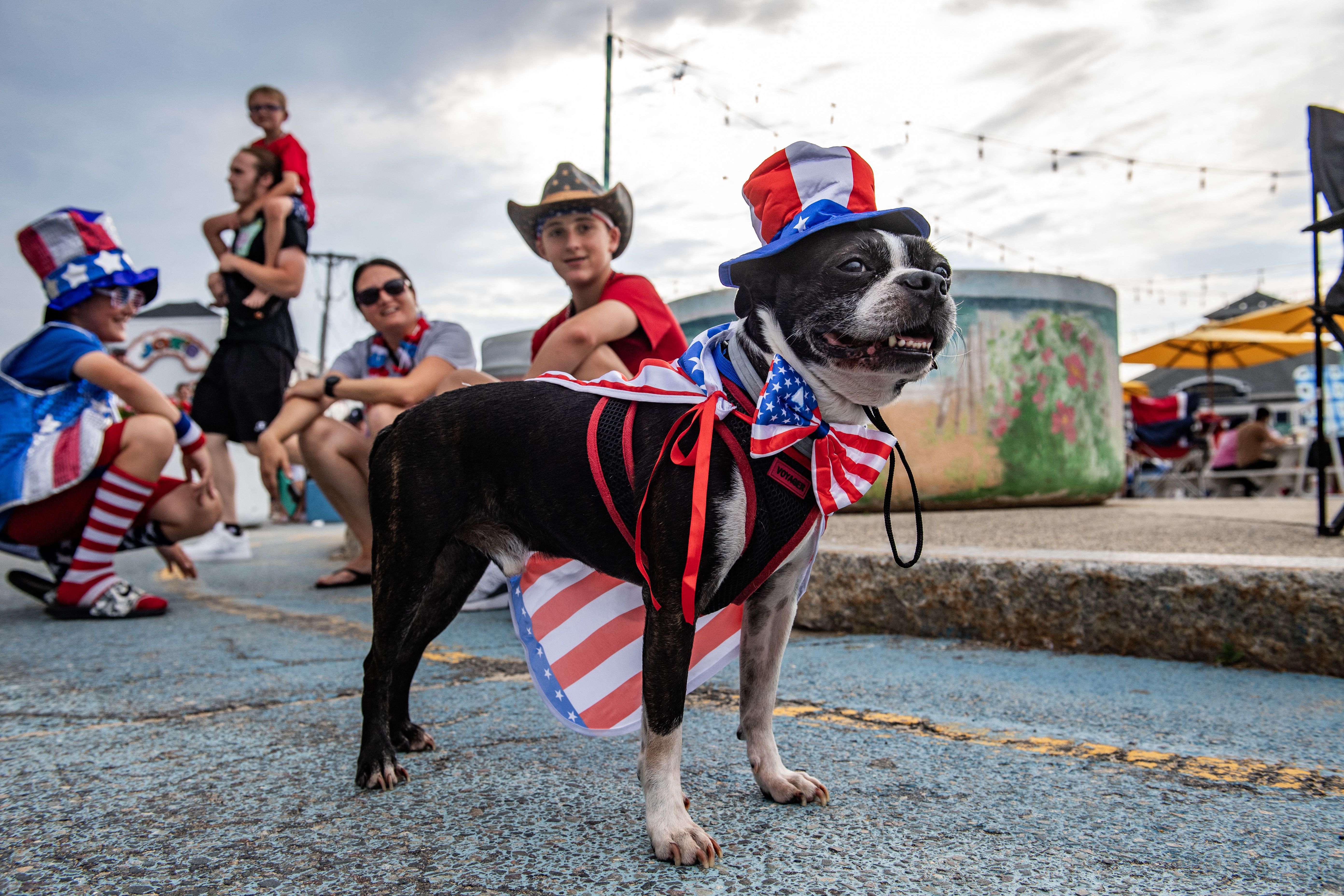 Charlie the dog, winner of the most patriotic outfit award, is seen during the 17th annual Fourth of July Pet Parade in Salisbury, Massachusetts, on July 4, 2024. The event is run by the Salisbury beach partnership. 