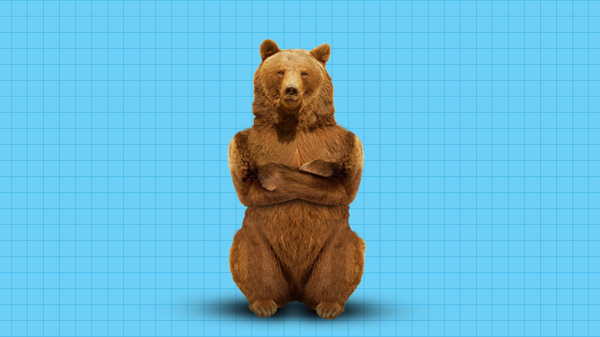 Illustration of a bear being stubborn with its arms crossed.