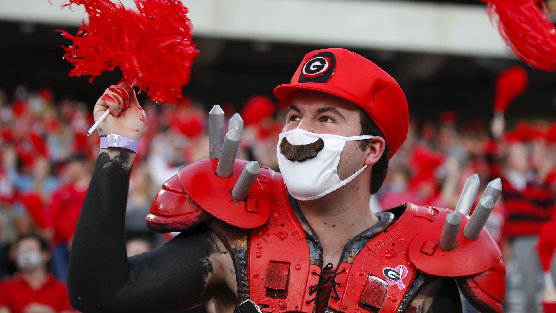 A fan. Photo: Todd Kirkland/Getty Images