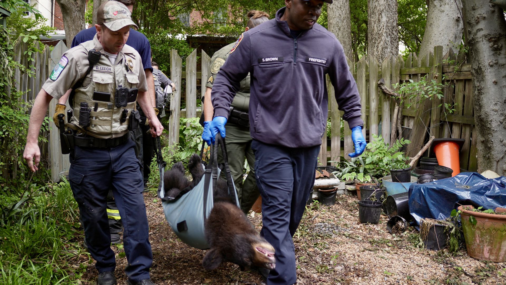Emergency responders and a search dog move through a cluttered backyard. A firefighter "D. LEECH" and a man in a purple jacket "S. BROWN" lead the team near a wooden fence and trees.