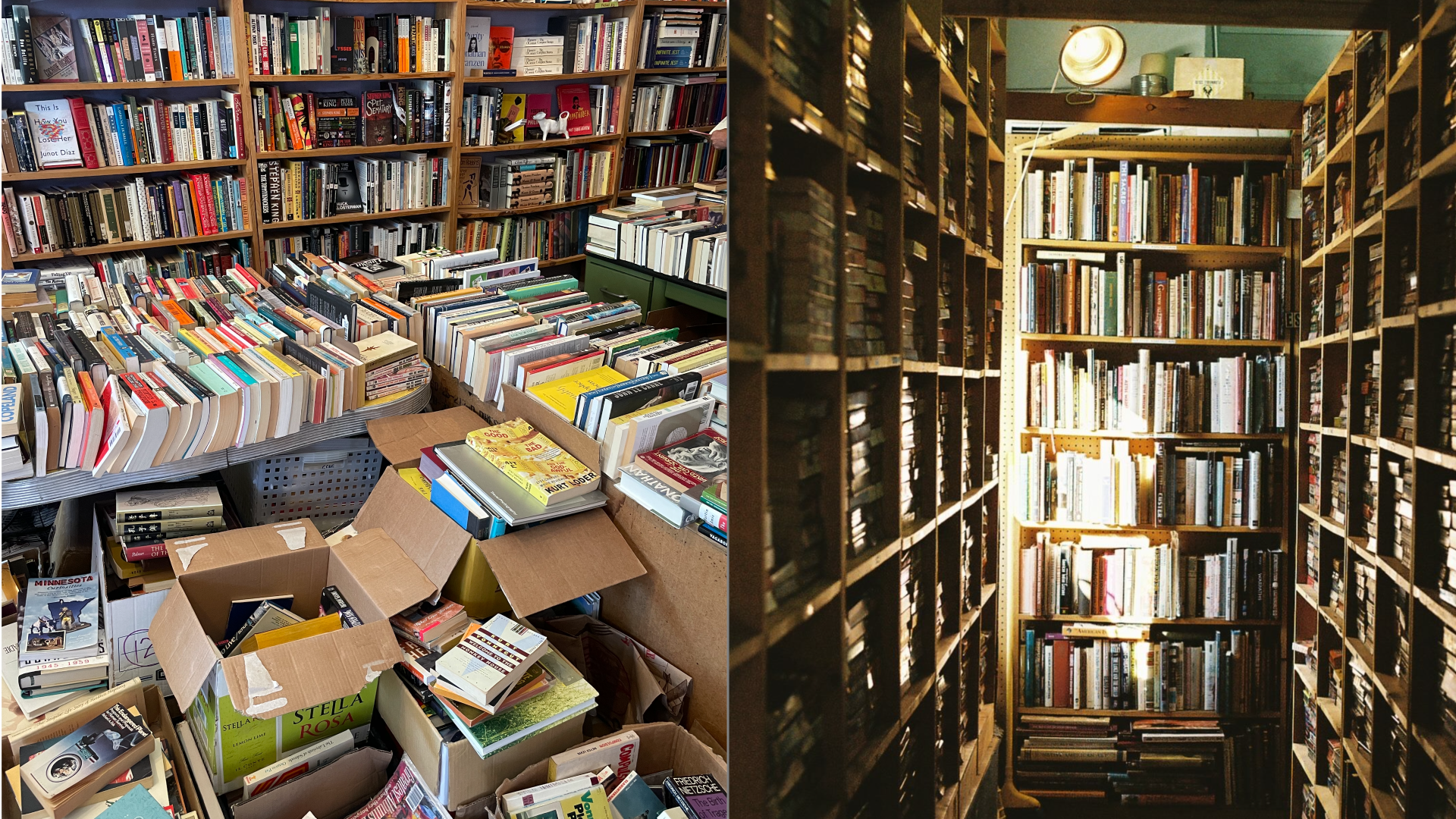 Two bookstore shelves.