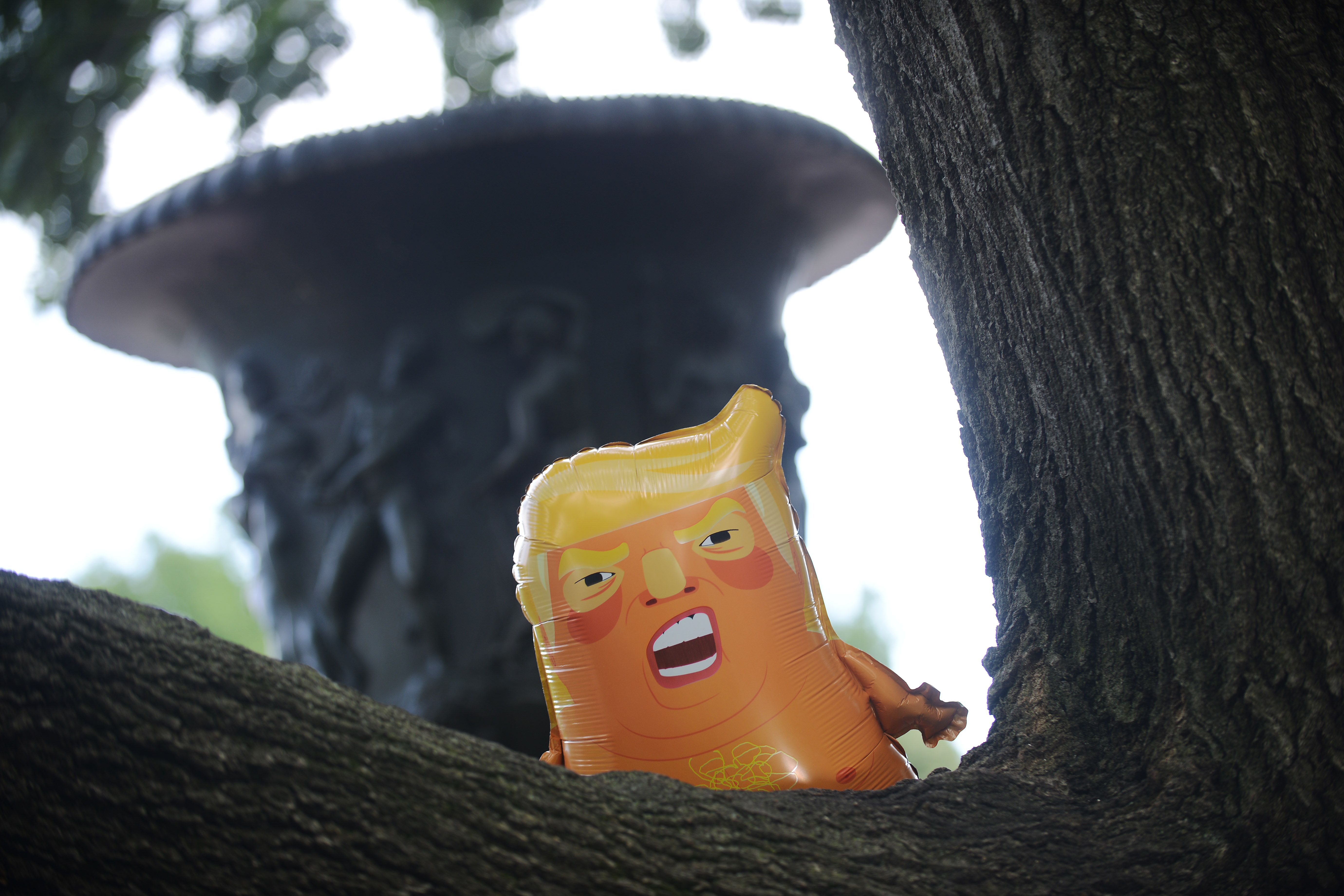 Peyton Sherwood's "trump baby balloon" near the White House in Washington, D.C.
