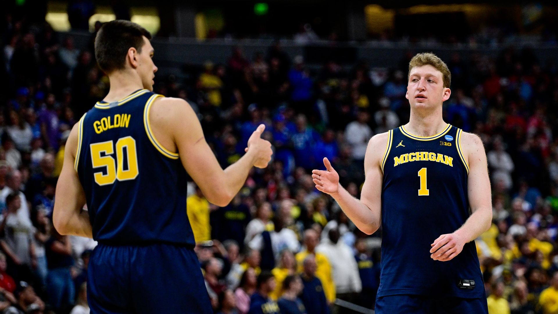 Michigan's Danny Wolf and Vlad Goldin celebrate against Texas A&M on Saturday. 