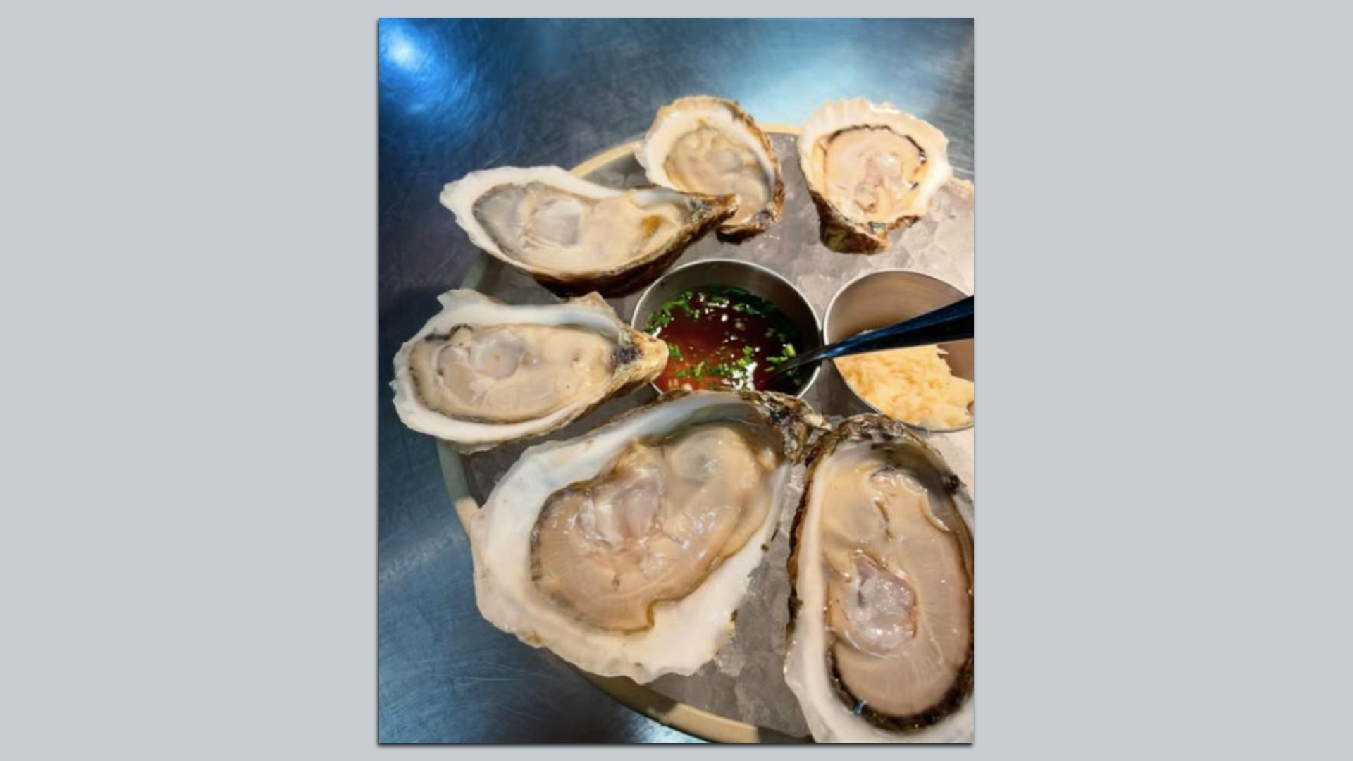 A plate of oysters 