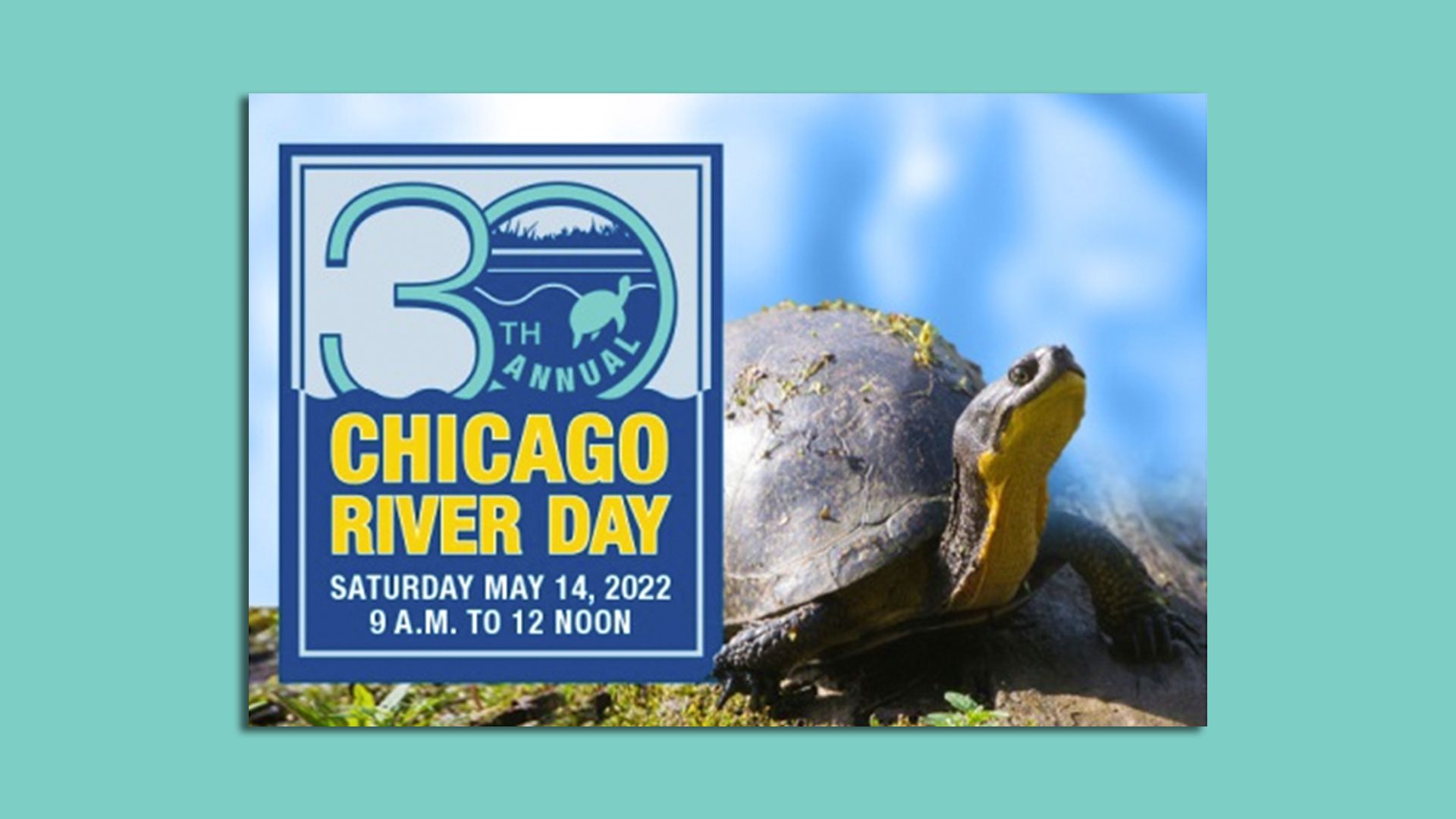 Photo of a turtle and a graphic promoting Chicago River Day. 