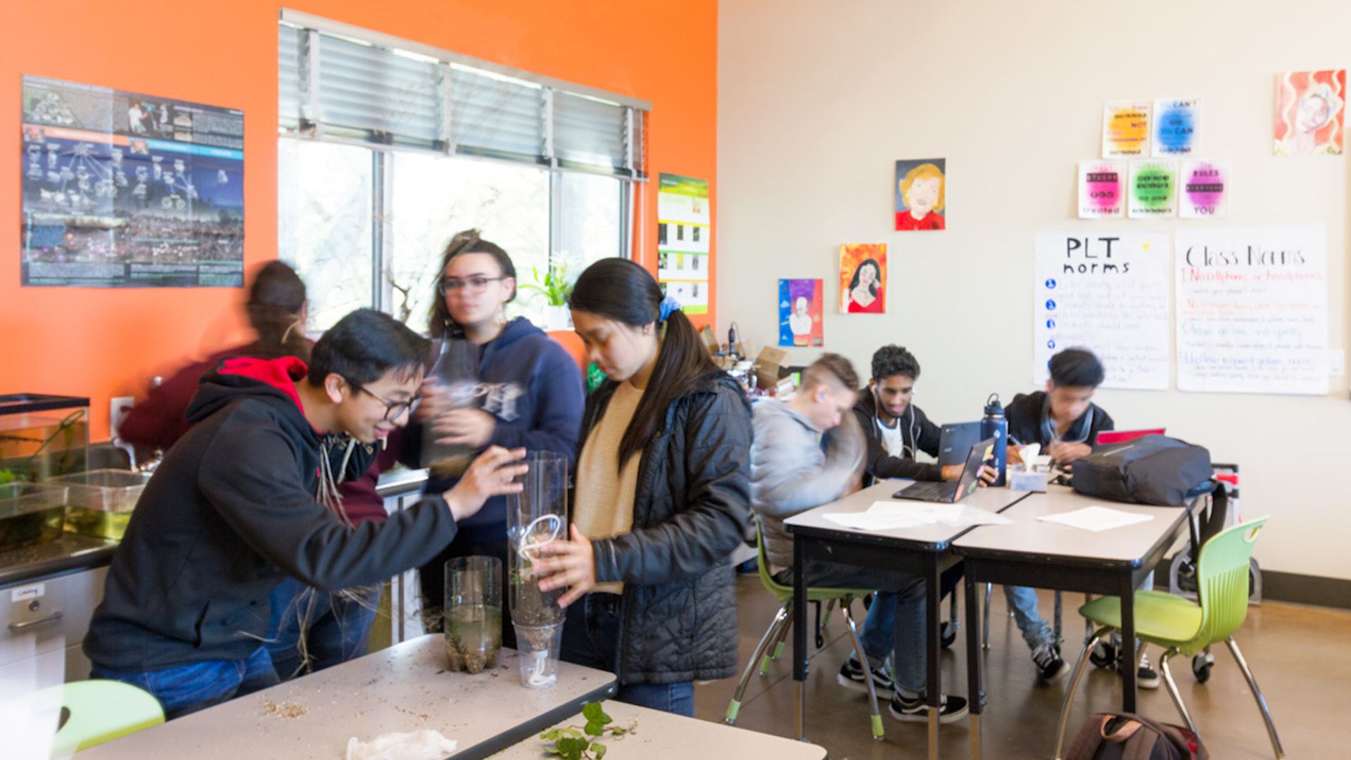 Photo of a group of students working with plants in a classroom