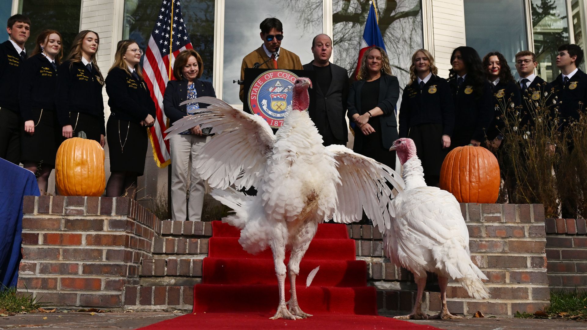 Two white turkeys stand on a red carpeted step with a group of people behind them, including individuals in blue jackets and a speaker at a podium with the Colorado state seal, flanked by pumpkins.