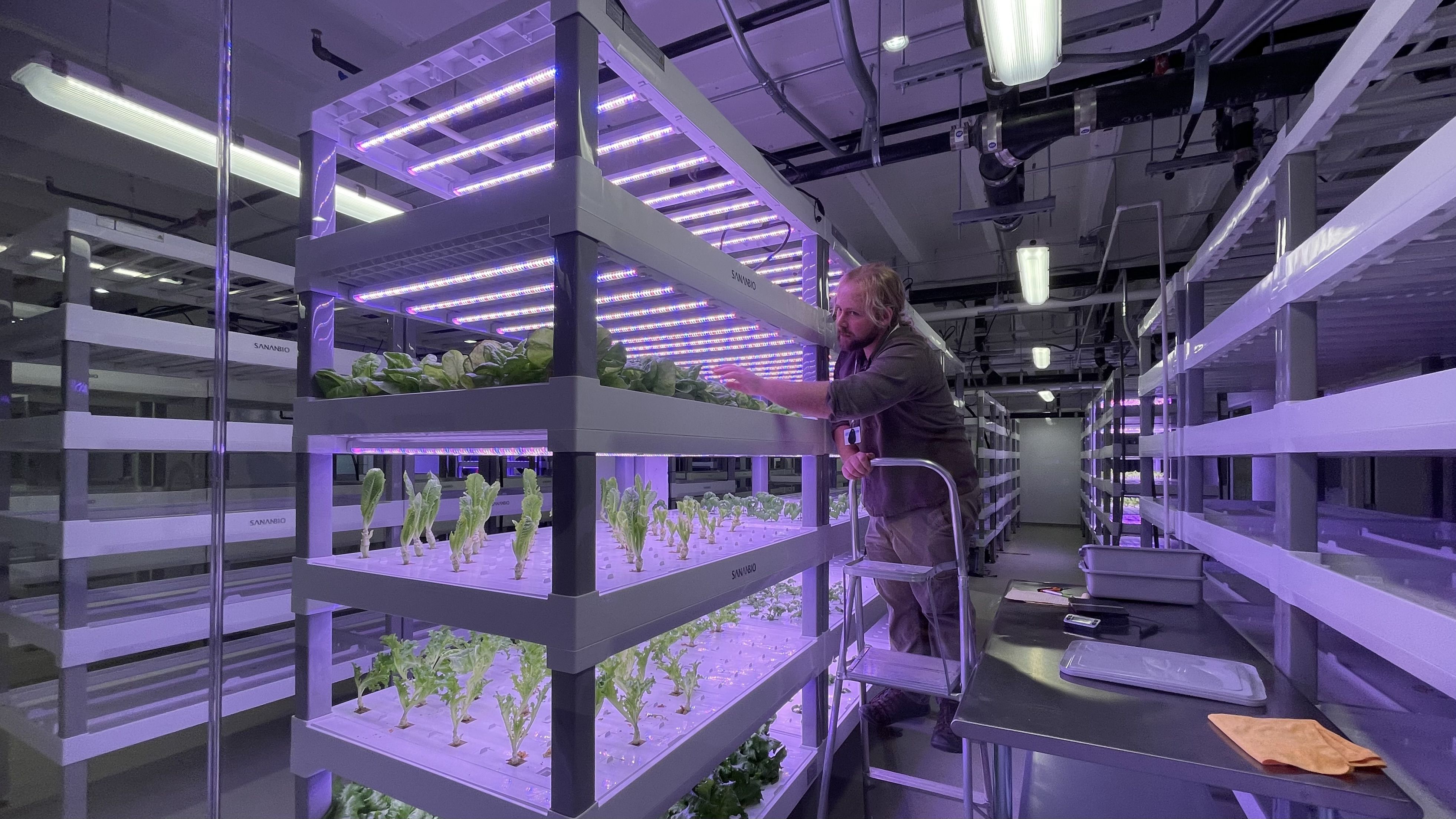A photo of a hydroponic garden.