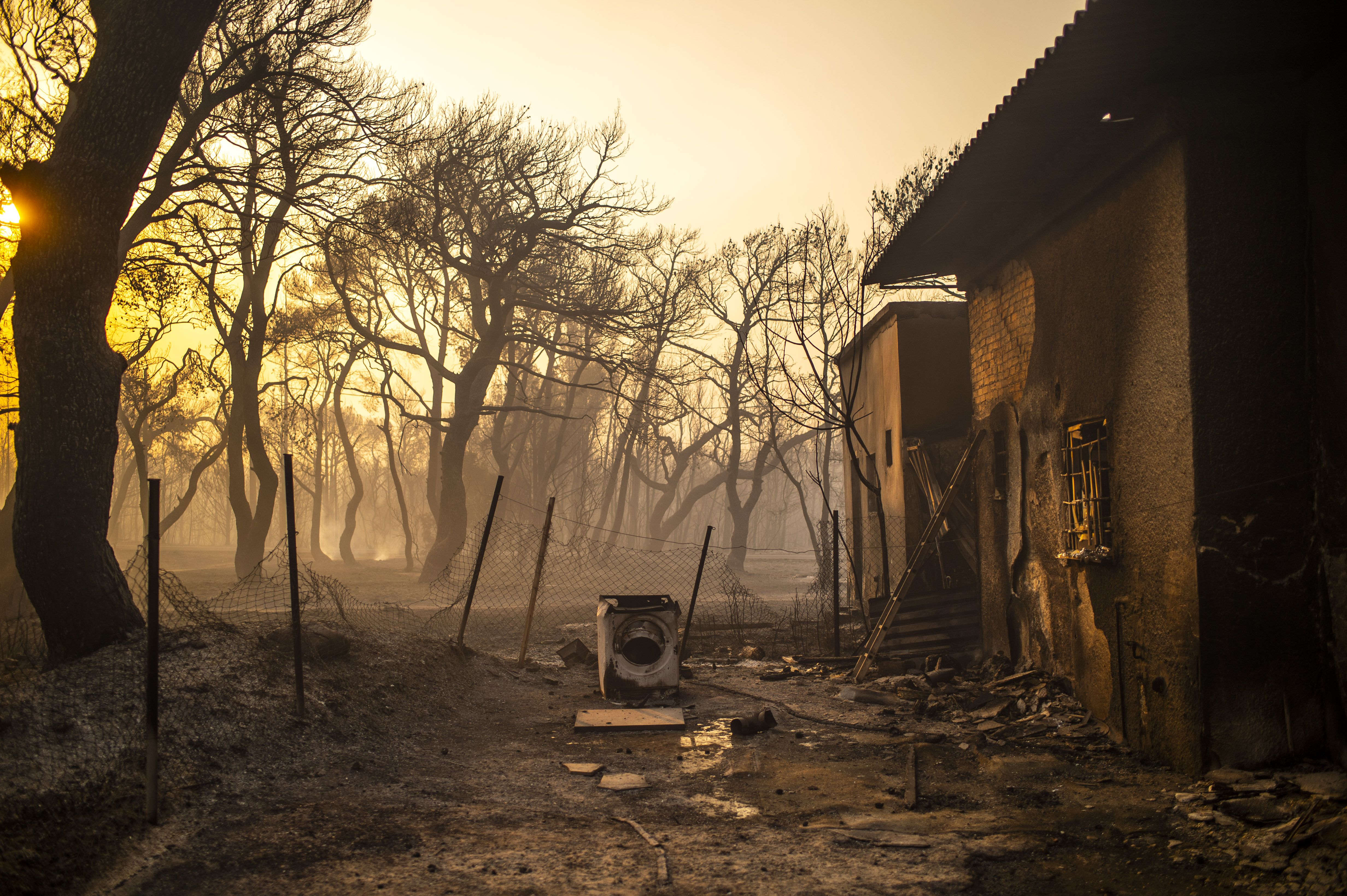 Picture of a burnt house and forest