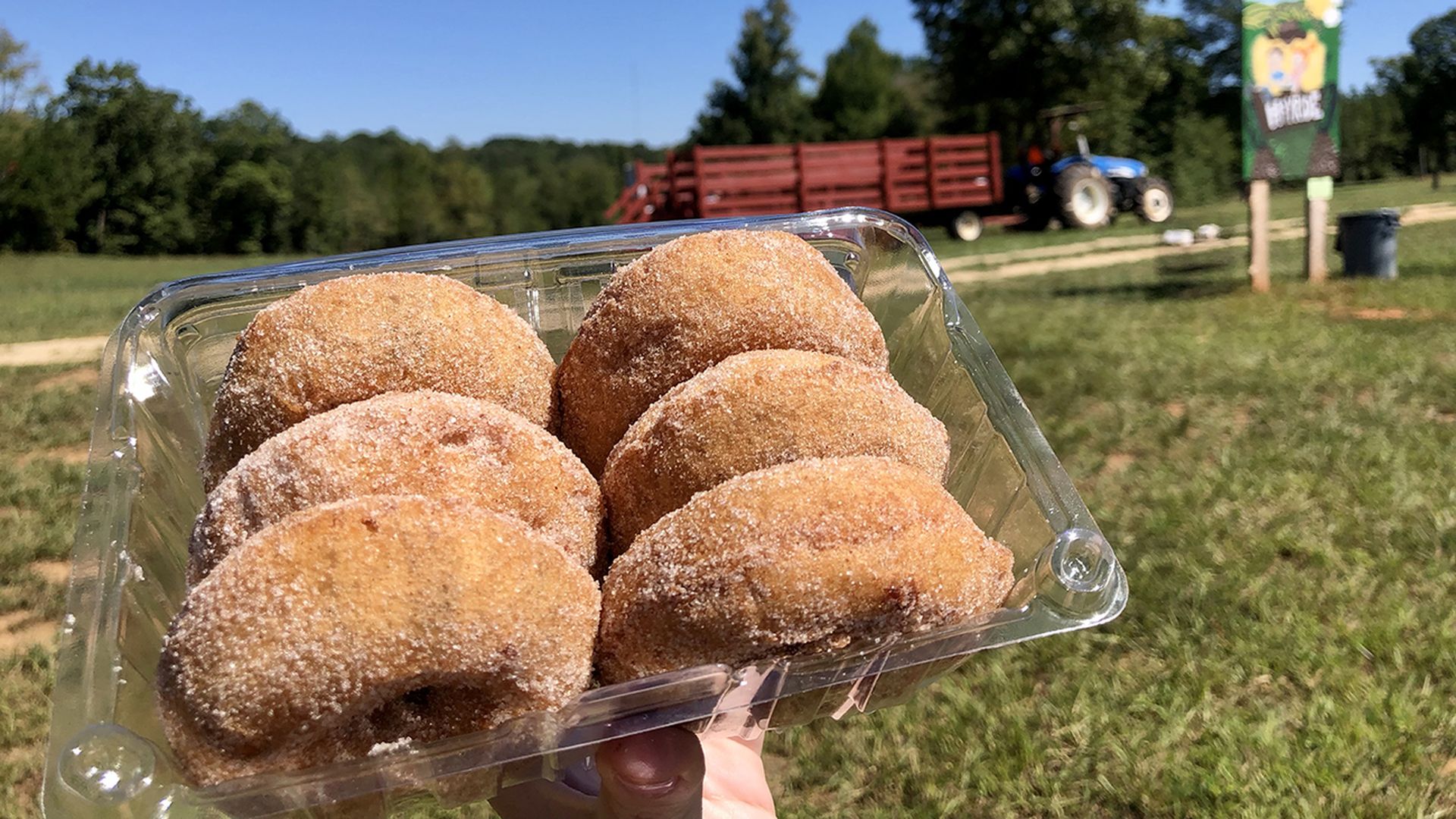 hall family farm lancaster sc