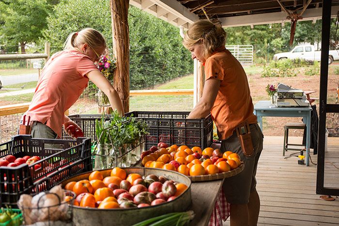 Produce from Renfrow Farms