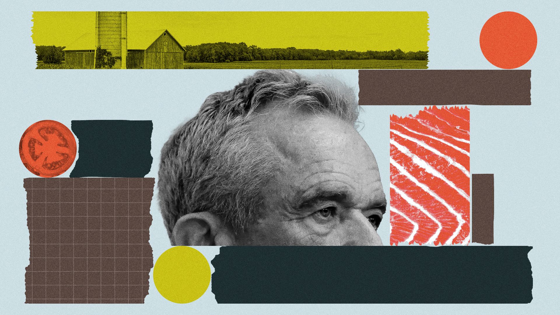 Photo illustration of Robert F. Kennedy, Jr. surrounded by food imagery and abstract shapes. 