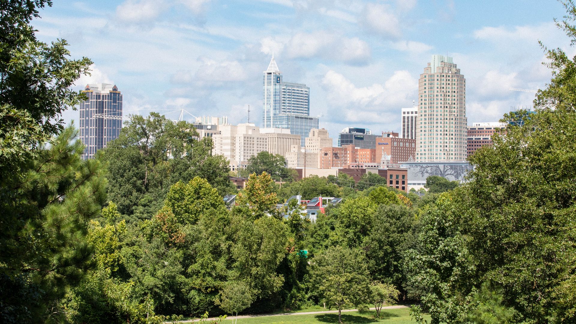 Downtown Raleigh's skyline seen from Dorothea Dix Park. 