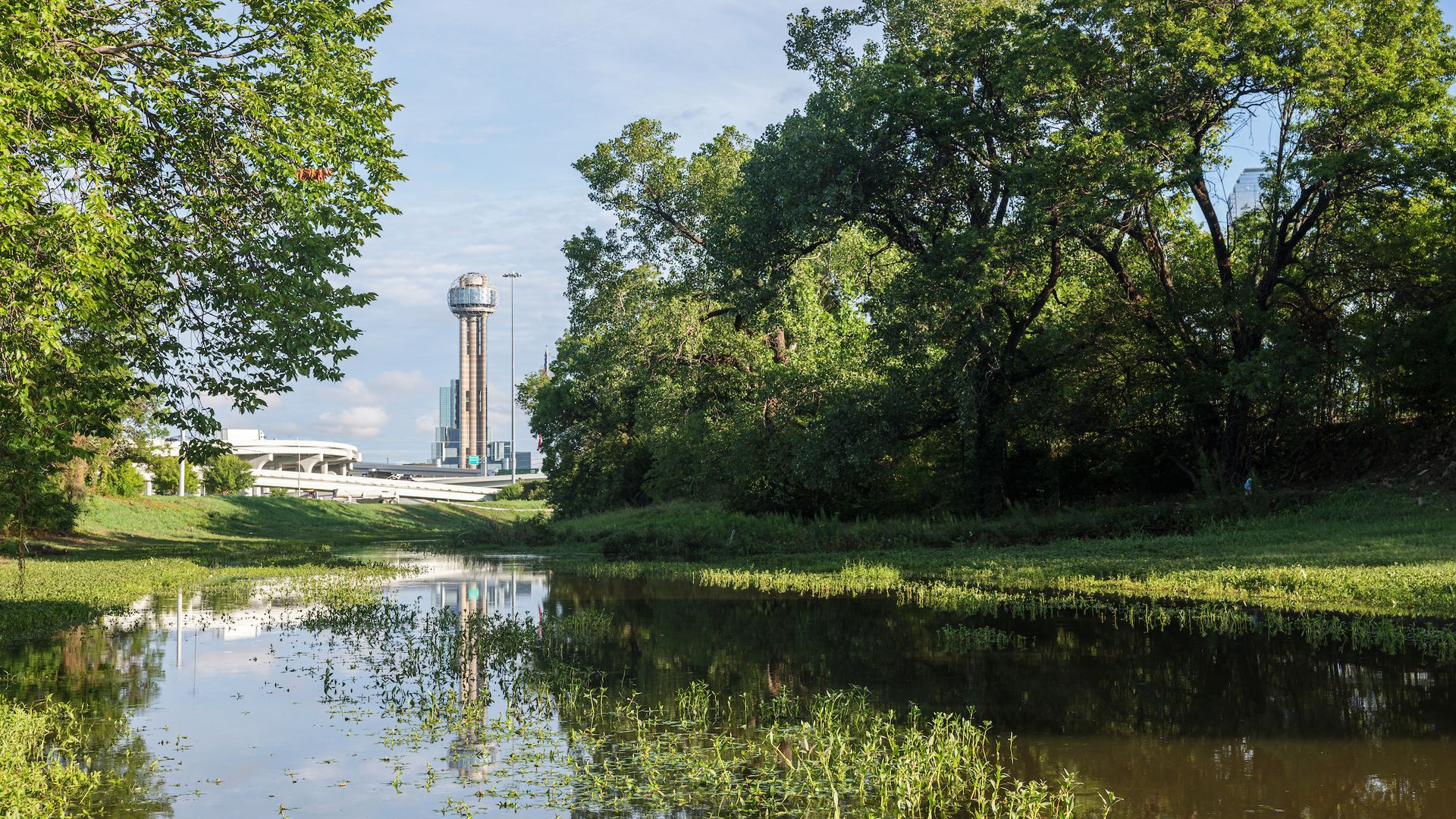 A photo of a wetland area south of Downtown Dallas