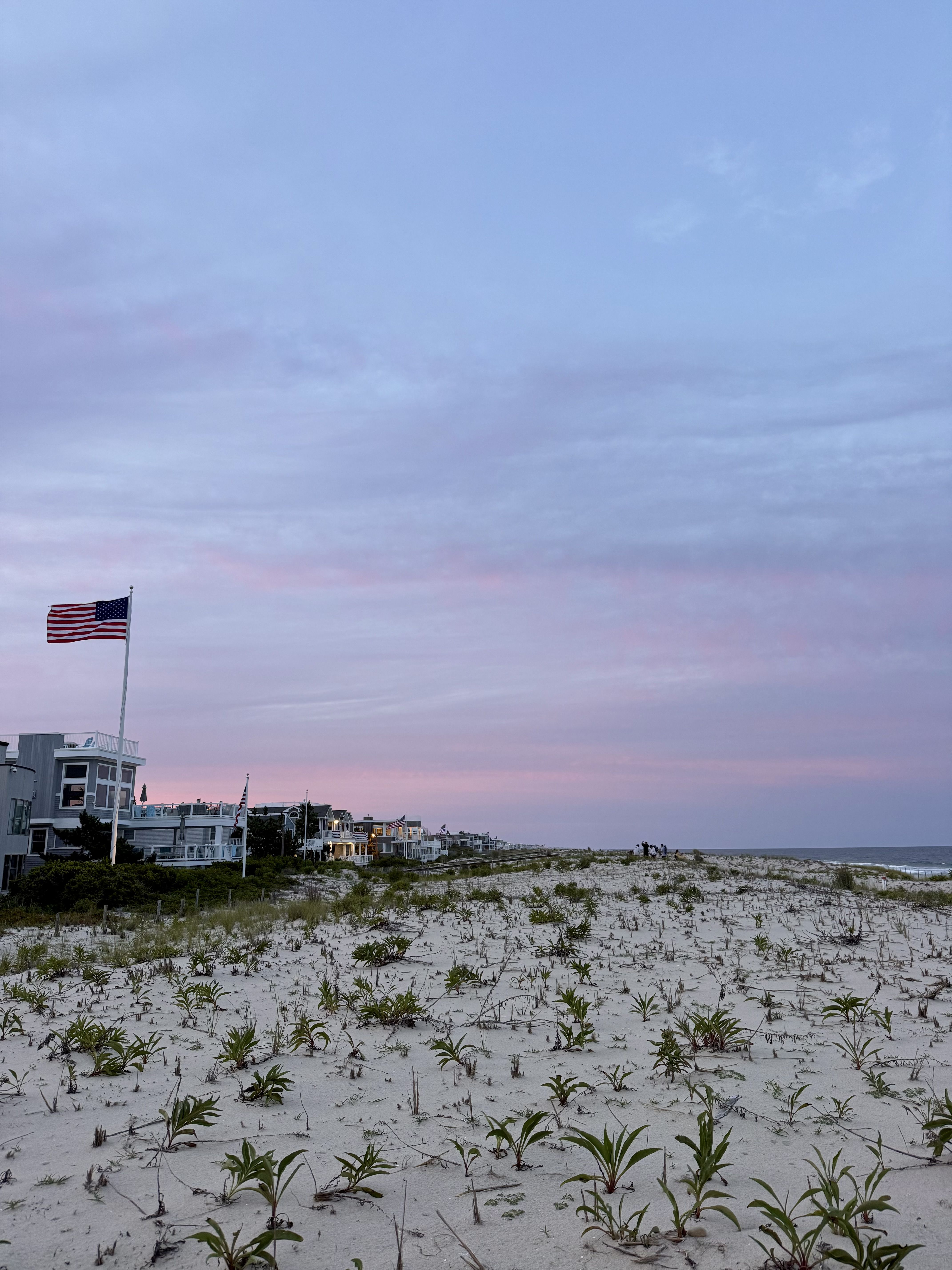 Coastal scene at dusk: pastel blue and pink sky over a sandy, plant-dotted beach. Beach houses line the left, a waving American flag on a tall pole, with a small group at the water's edge.