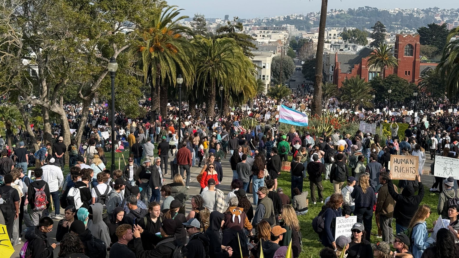 Large crowd gathered in a park with palm trees during a protest. People hold signs including "HUMAN RIGHTS" and a transgender pride flag. Cityscape and hills visible in background.